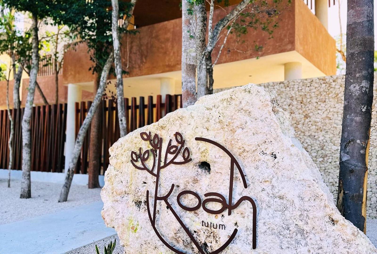 Apartment *jungle Ph W/pool, Close To Downtown & Tulum