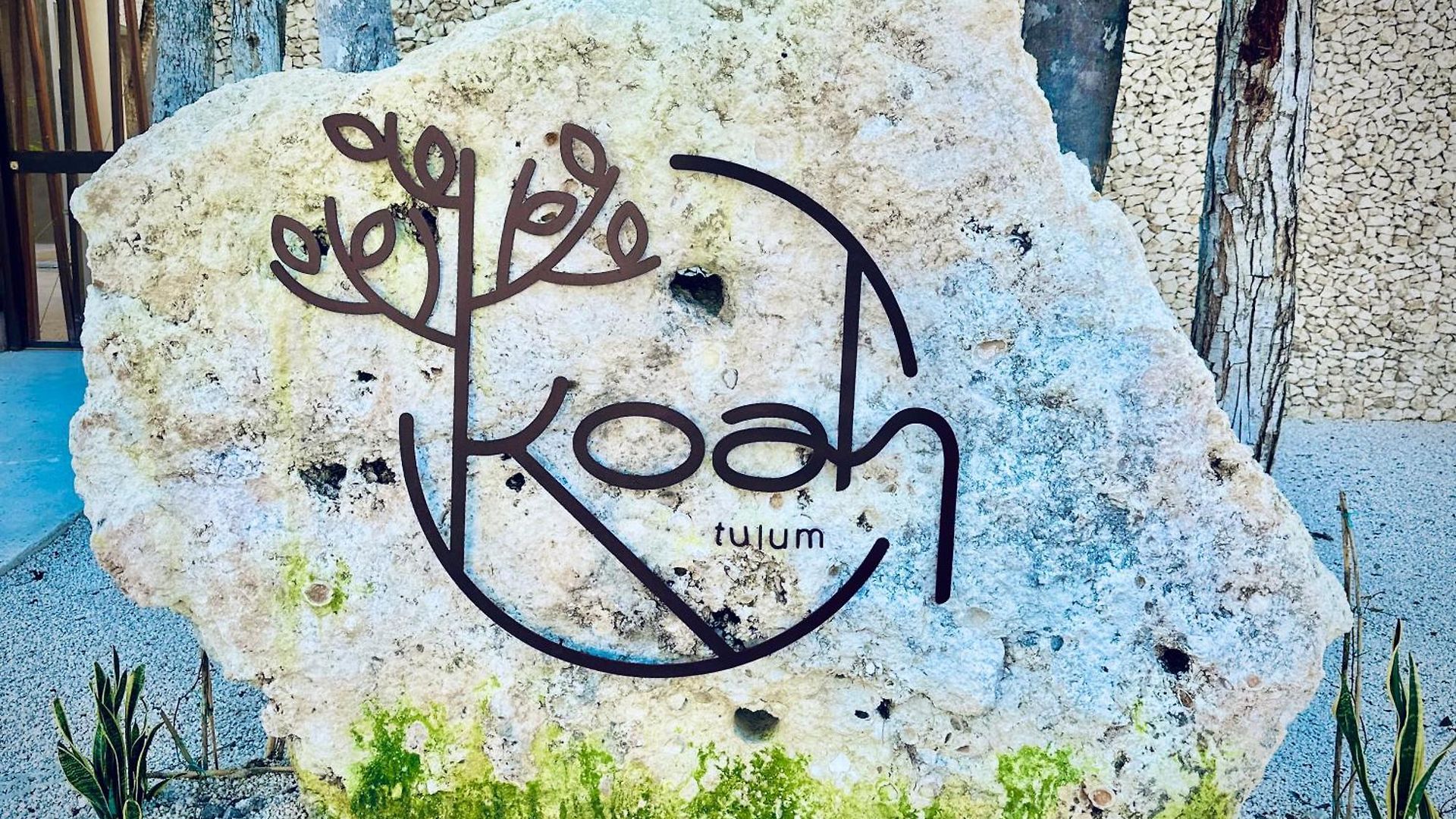 *jungle Ph W/pool, Close To Downtown & * Tulum