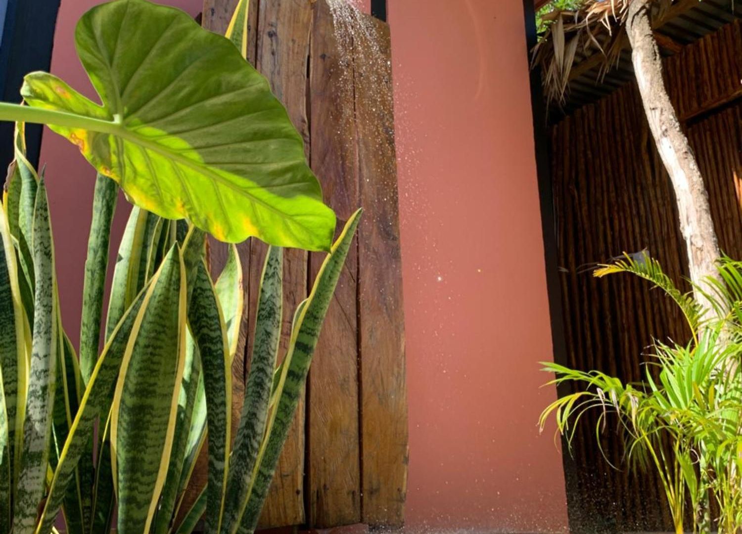 Casa Calu Cozy & Confortable Jungle House With Pooll