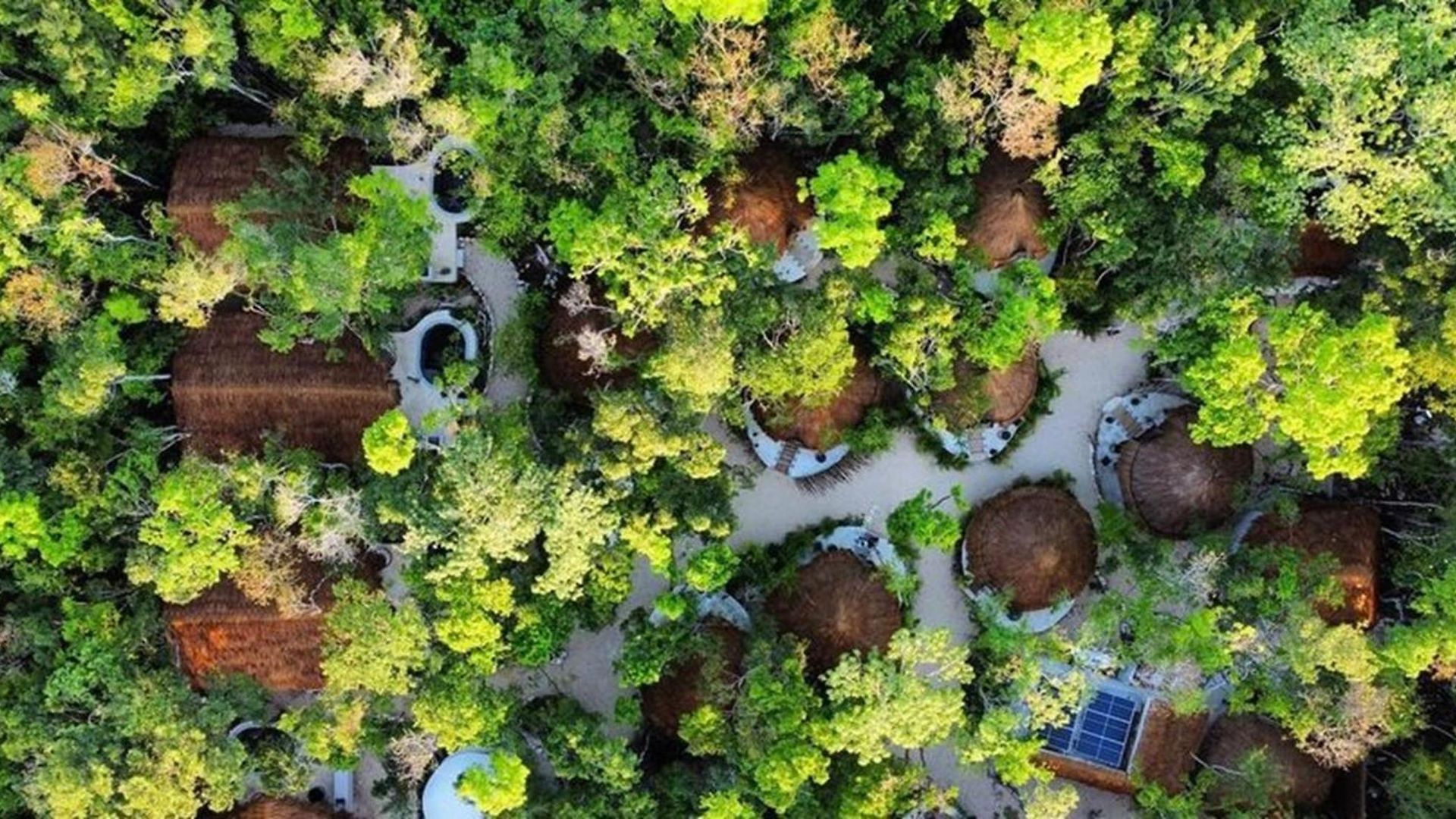 The Yellow Nest Hotel 5*