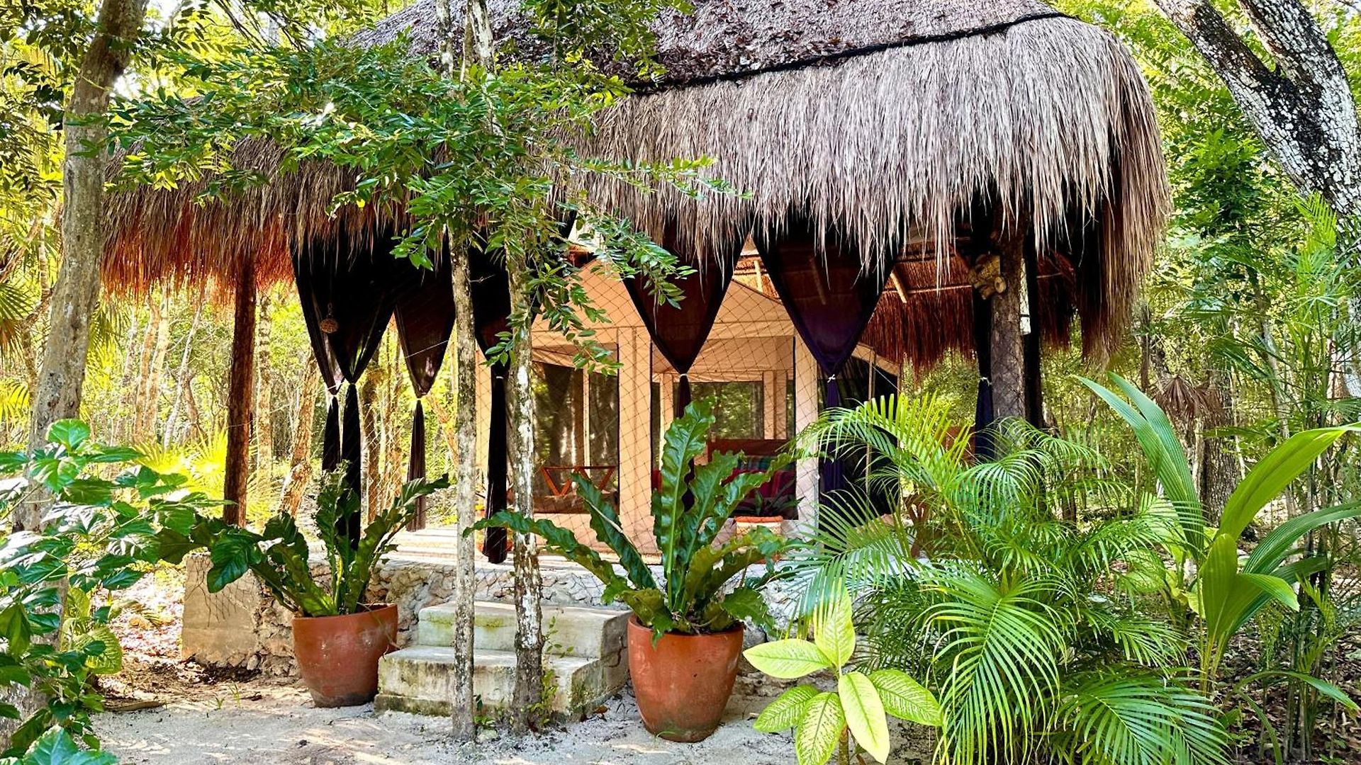 Glamping Bunga Lotus Camping *