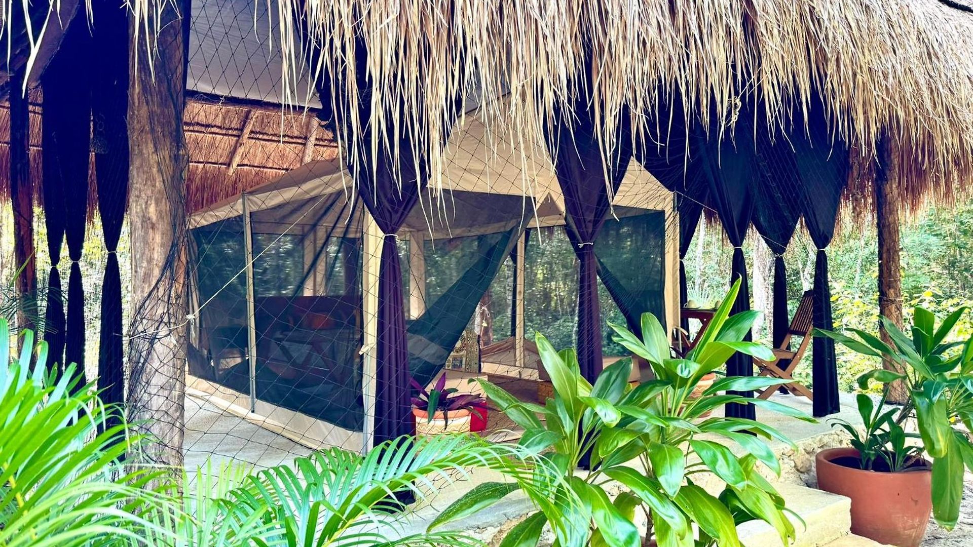 Camping Glamping Bunga Lotus *