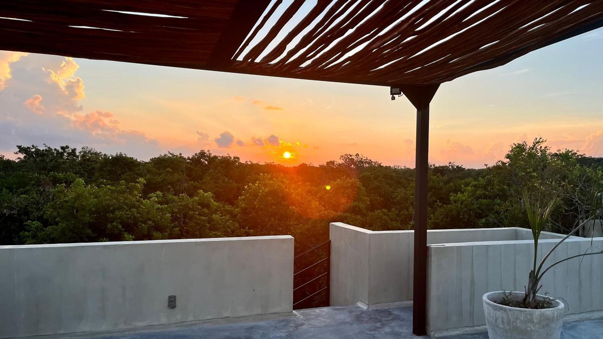 Apartment Jungle Gem With Swim-up Pool & Easy Paved Access