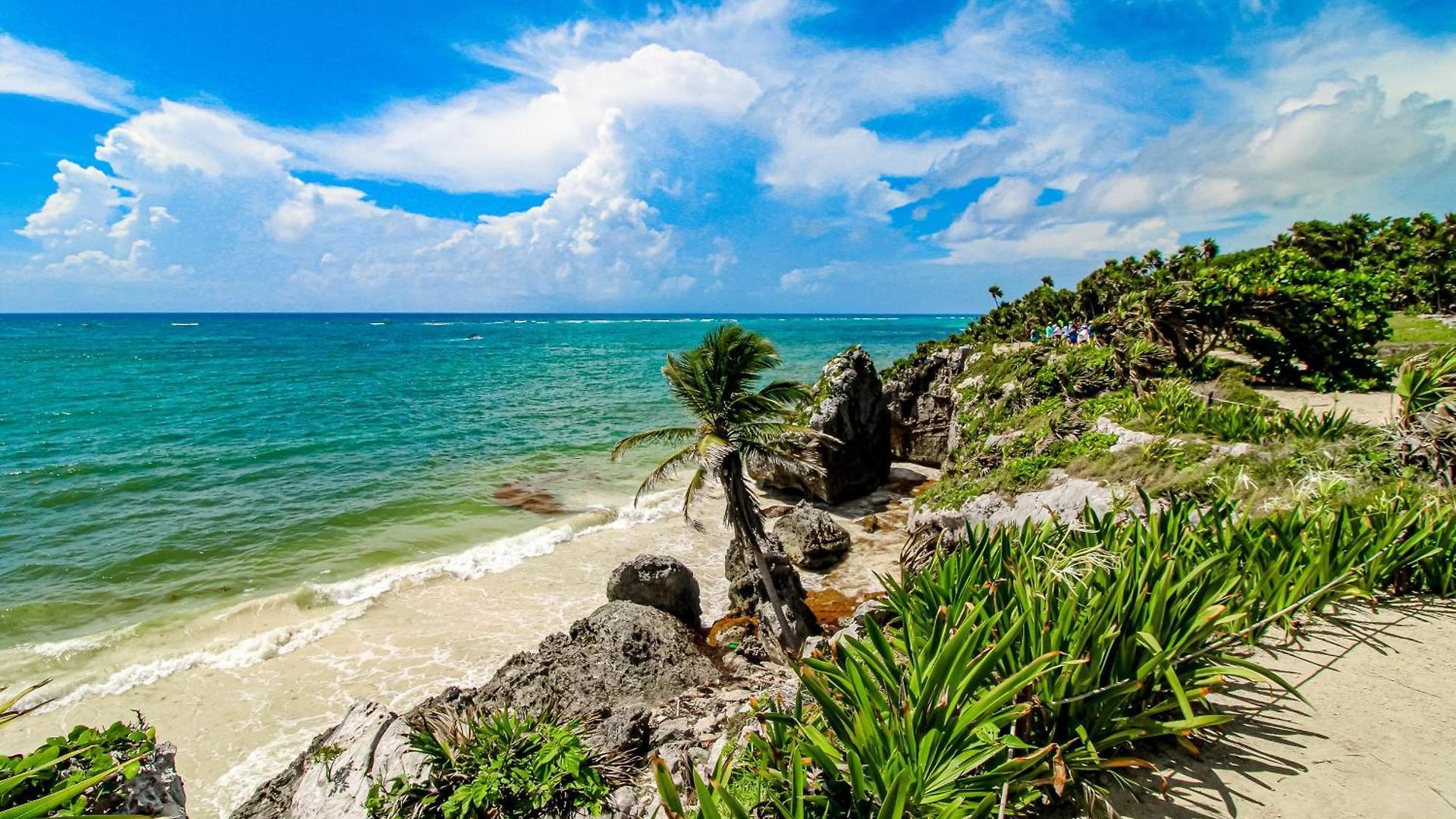 Hotel Amelia 104 Studio Tulum