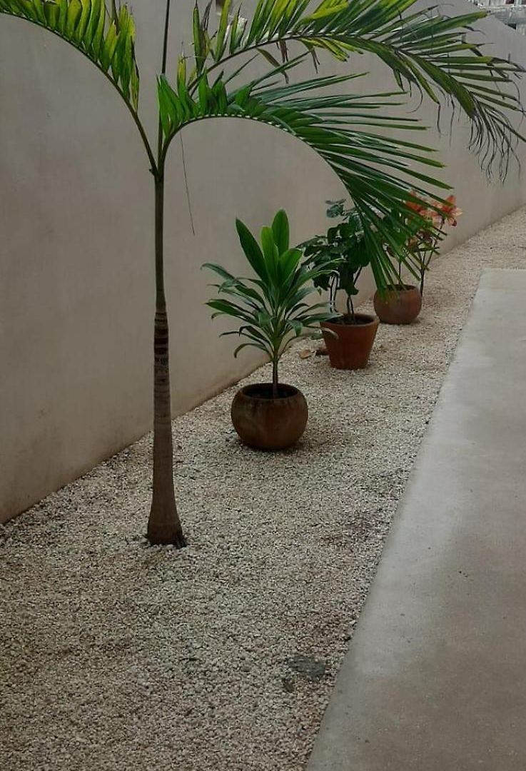 Apartamento Arhat *