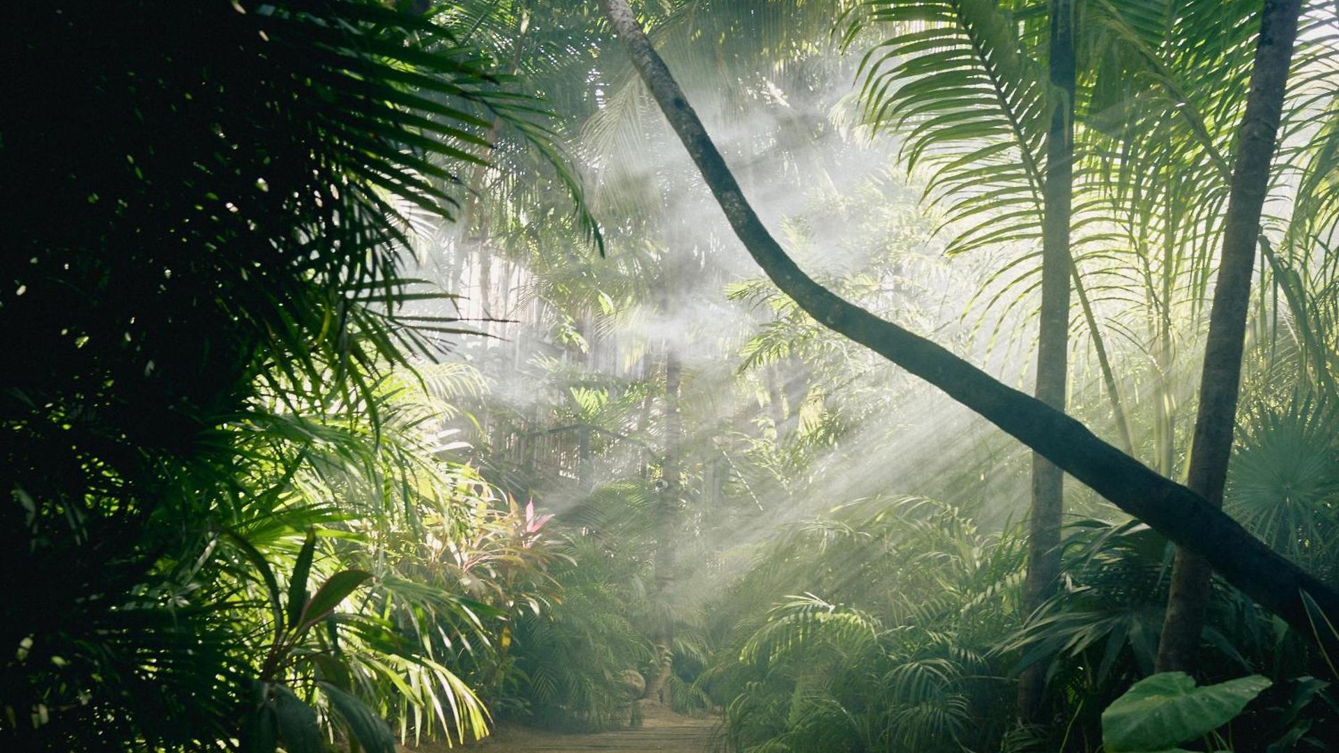 Be Destination (adults Only) 5* Tulum