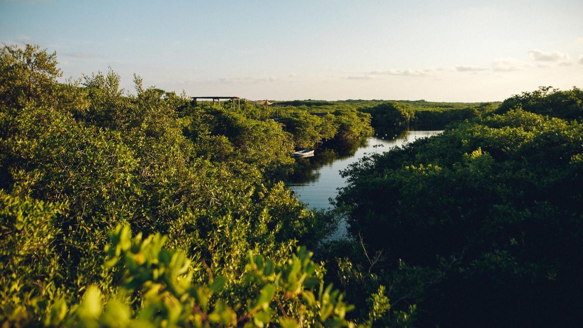 Uman Glamping & Cenote Campo de lujo