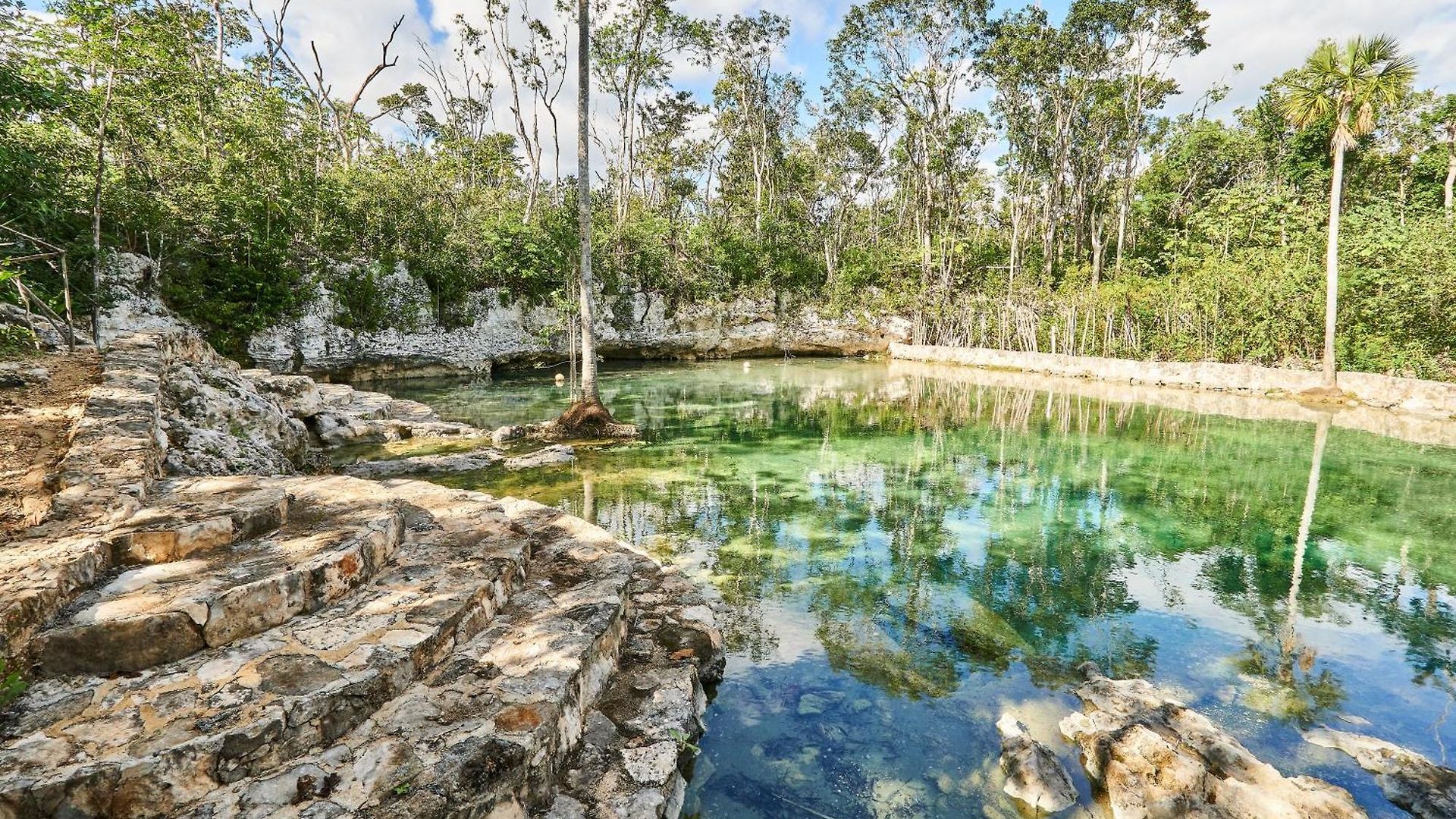 Tortuga Lux 4 Bdr Big Garden*pool *cenote Tulum