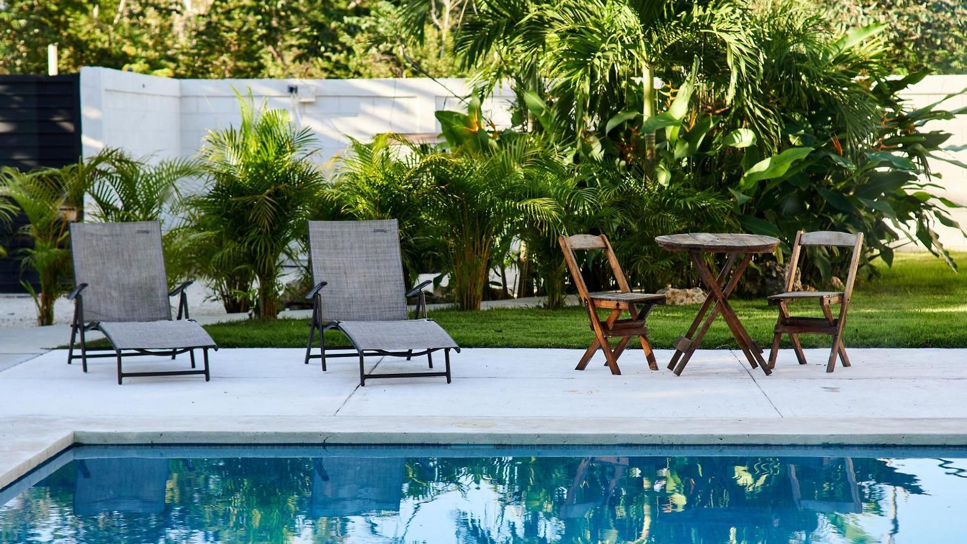 Villa Tortuga Lux 4 Bdr Big Garden*pool *cenote *