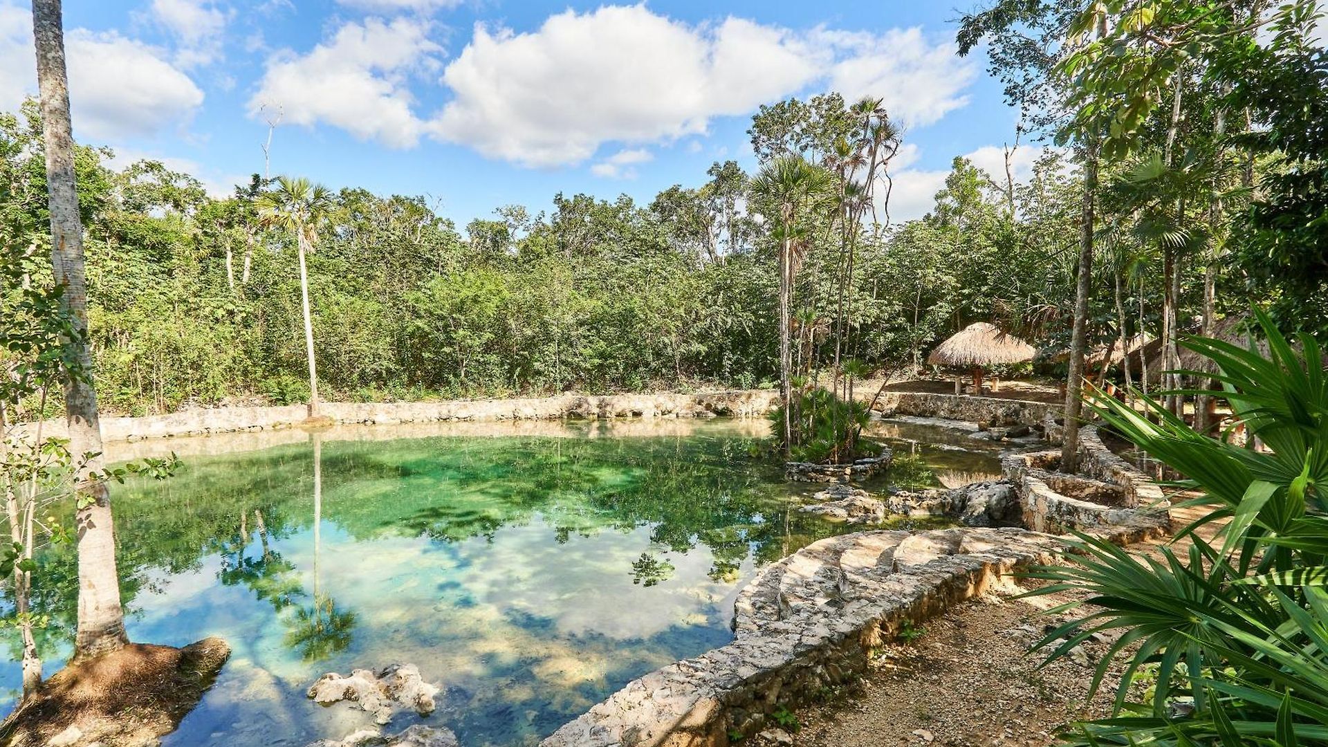 Villa Tortuga Lux 4 Bdr Big Garden*pool *cenote Tulum