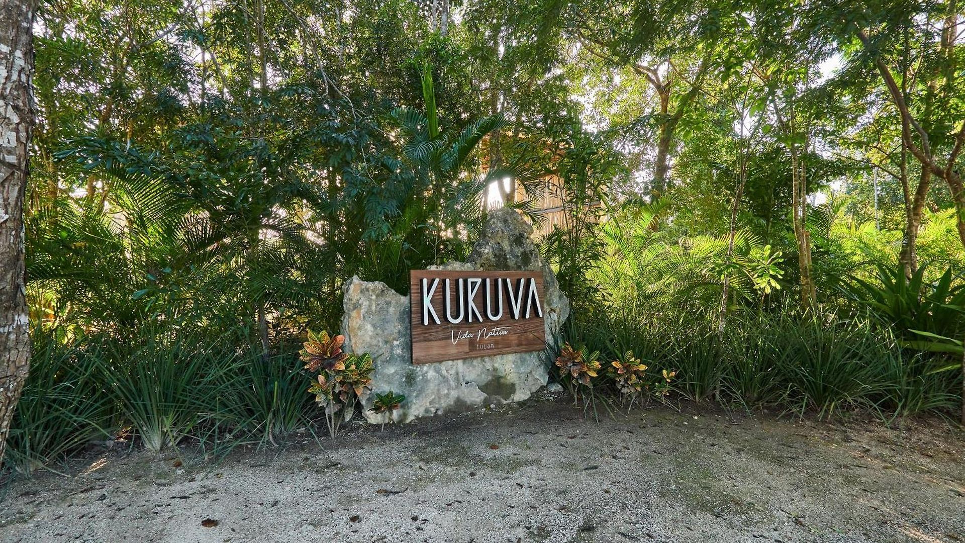 Tortuga Lux 4 Bdr Big Garden*pool *cenote *