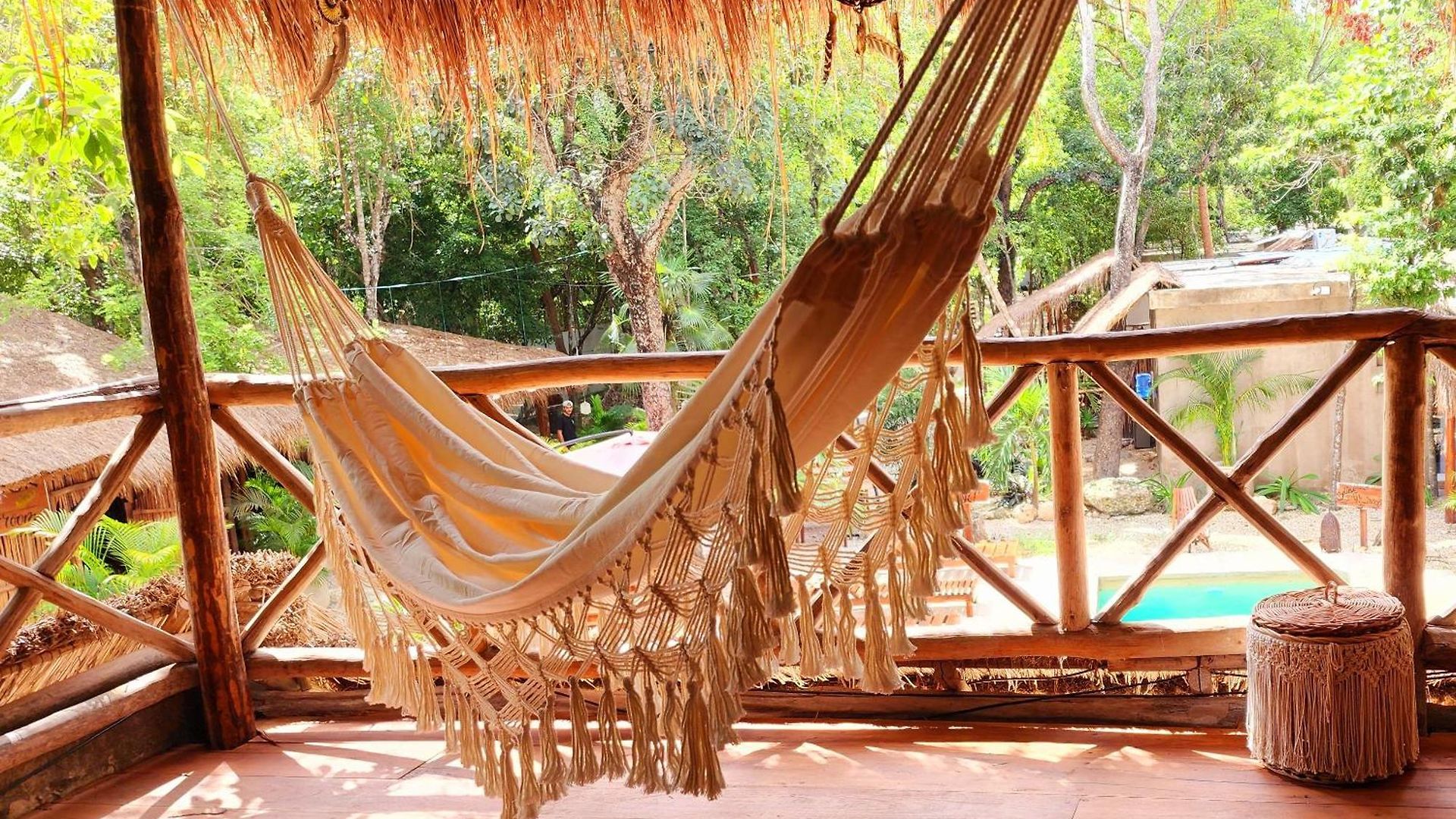 Hotel Jungle Deluxe Kin *