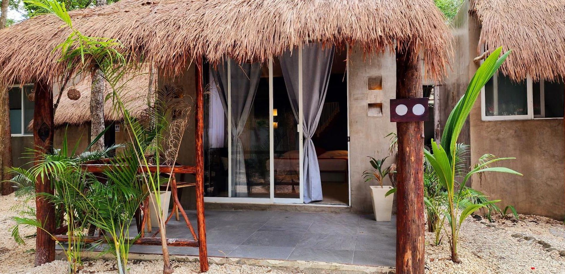 Hotel Jungle Deluxe Kin