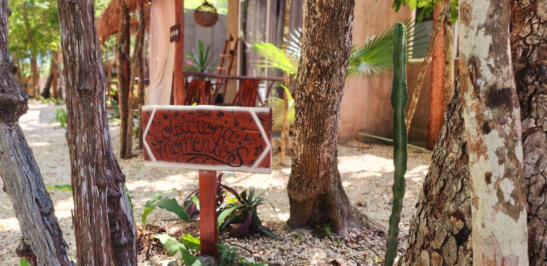 Jungle Deluxe Kin *