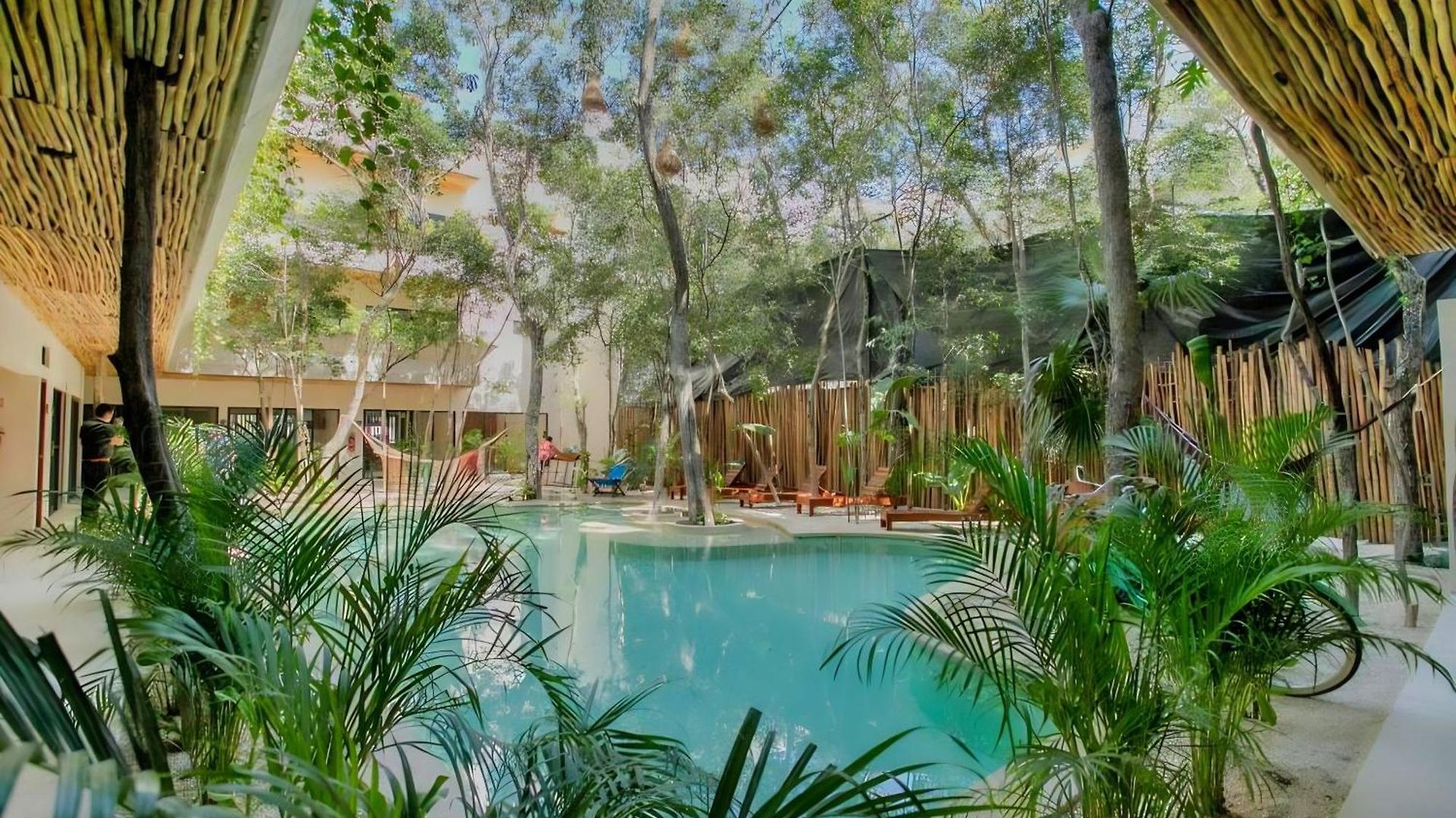 Etnica Residences Jungle Paradise Apartamento *