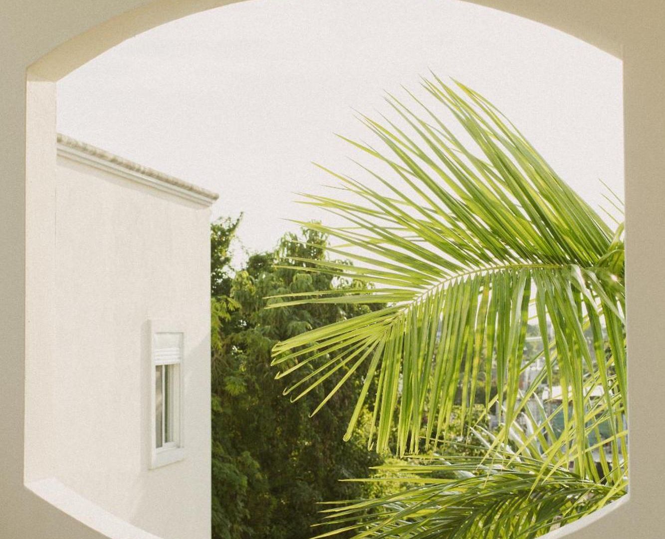 Gardenia Collective Hotel 4*
