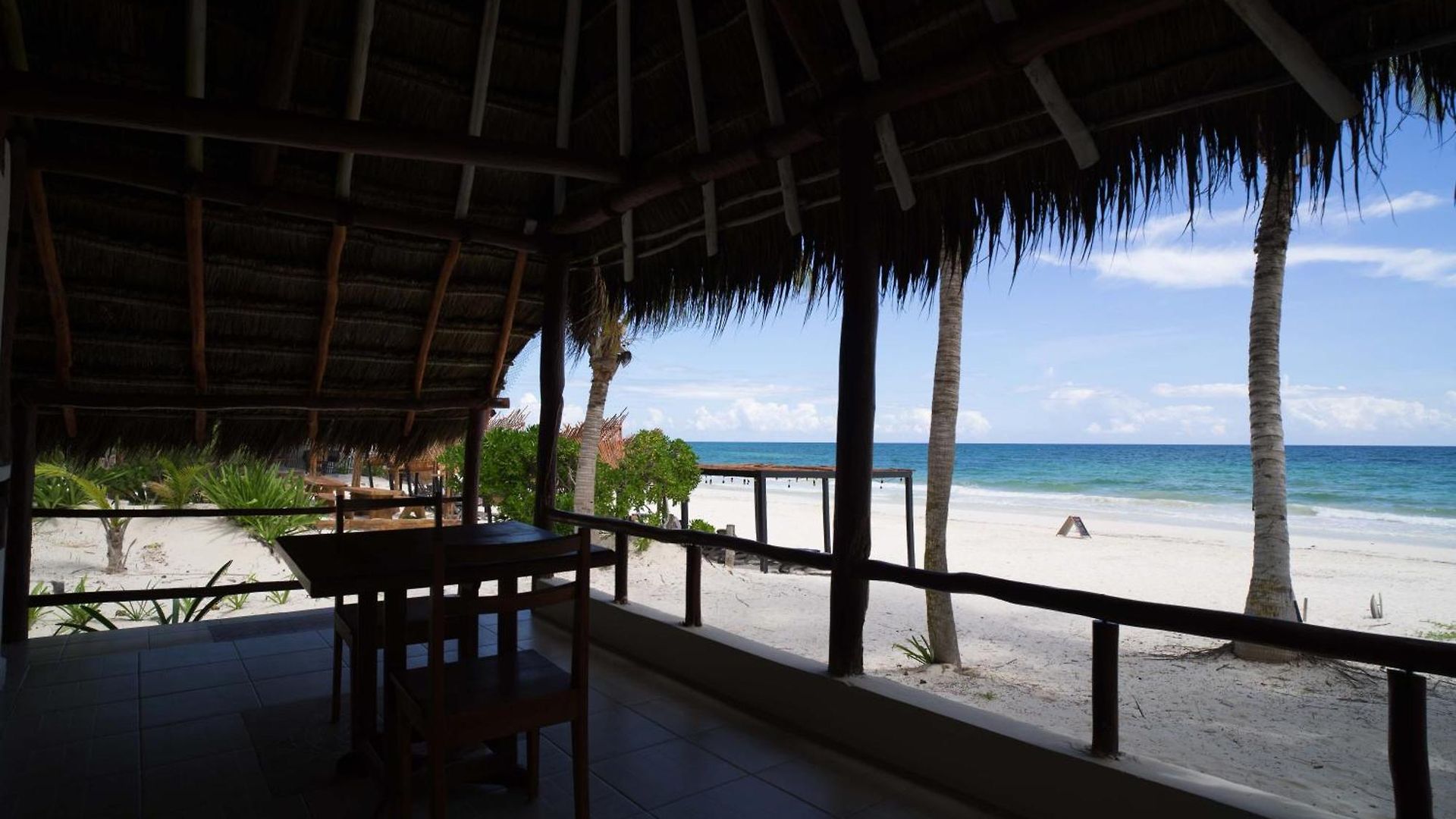Hotel Bt Live Located At The Party Zone Tulum