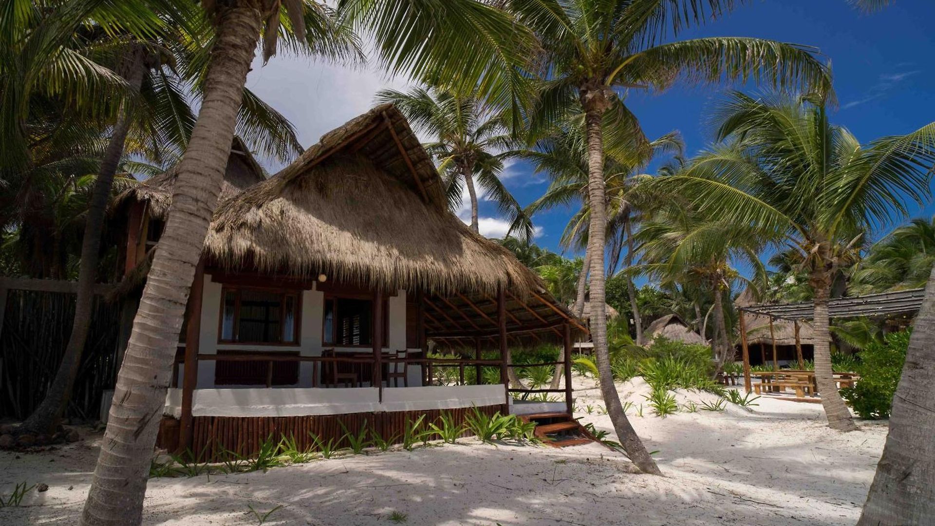 Hotel Bt Live Located At The Party Zone Tulum