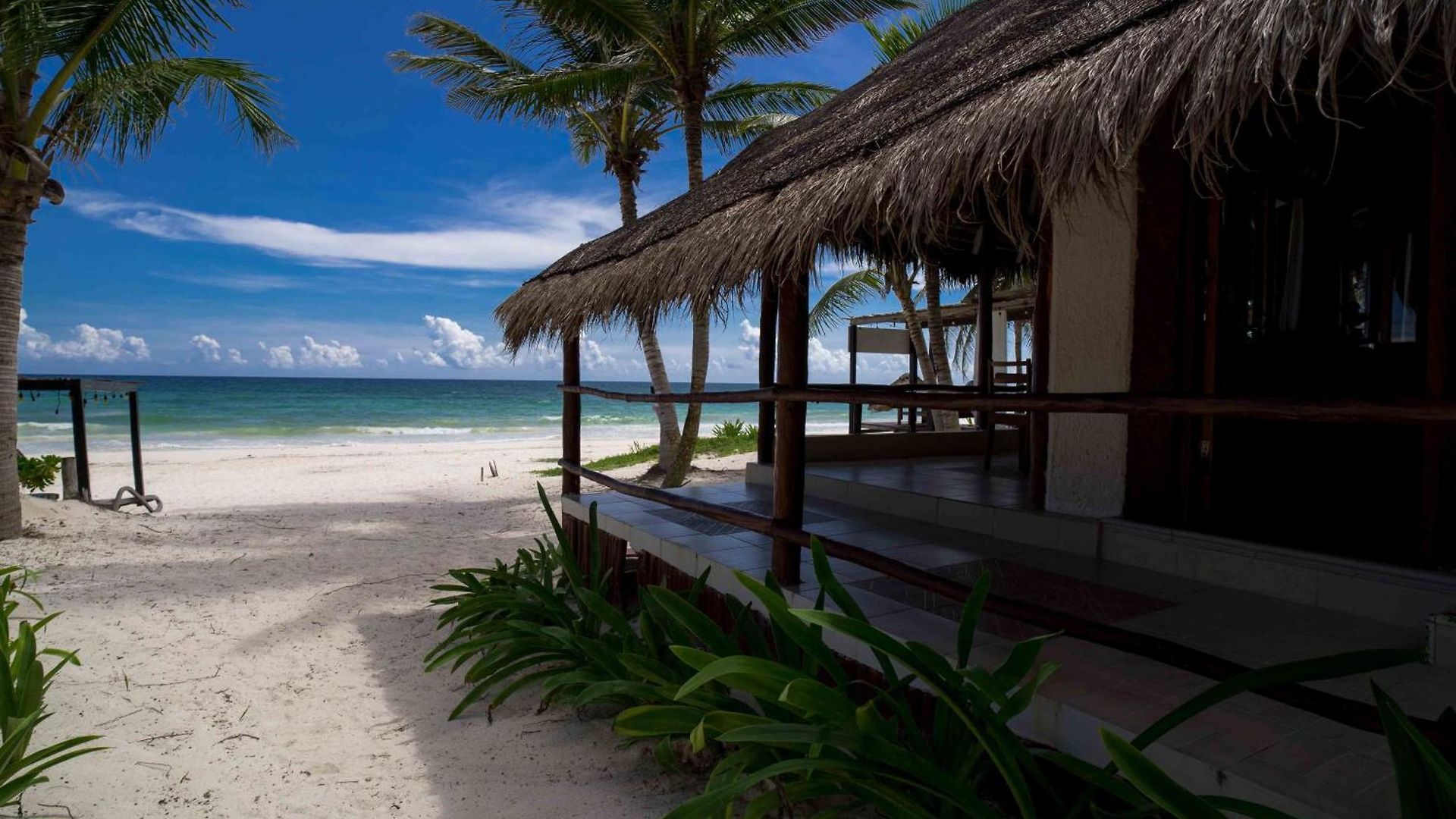 Bt Live Located At The Party Zone Hotel Tulum