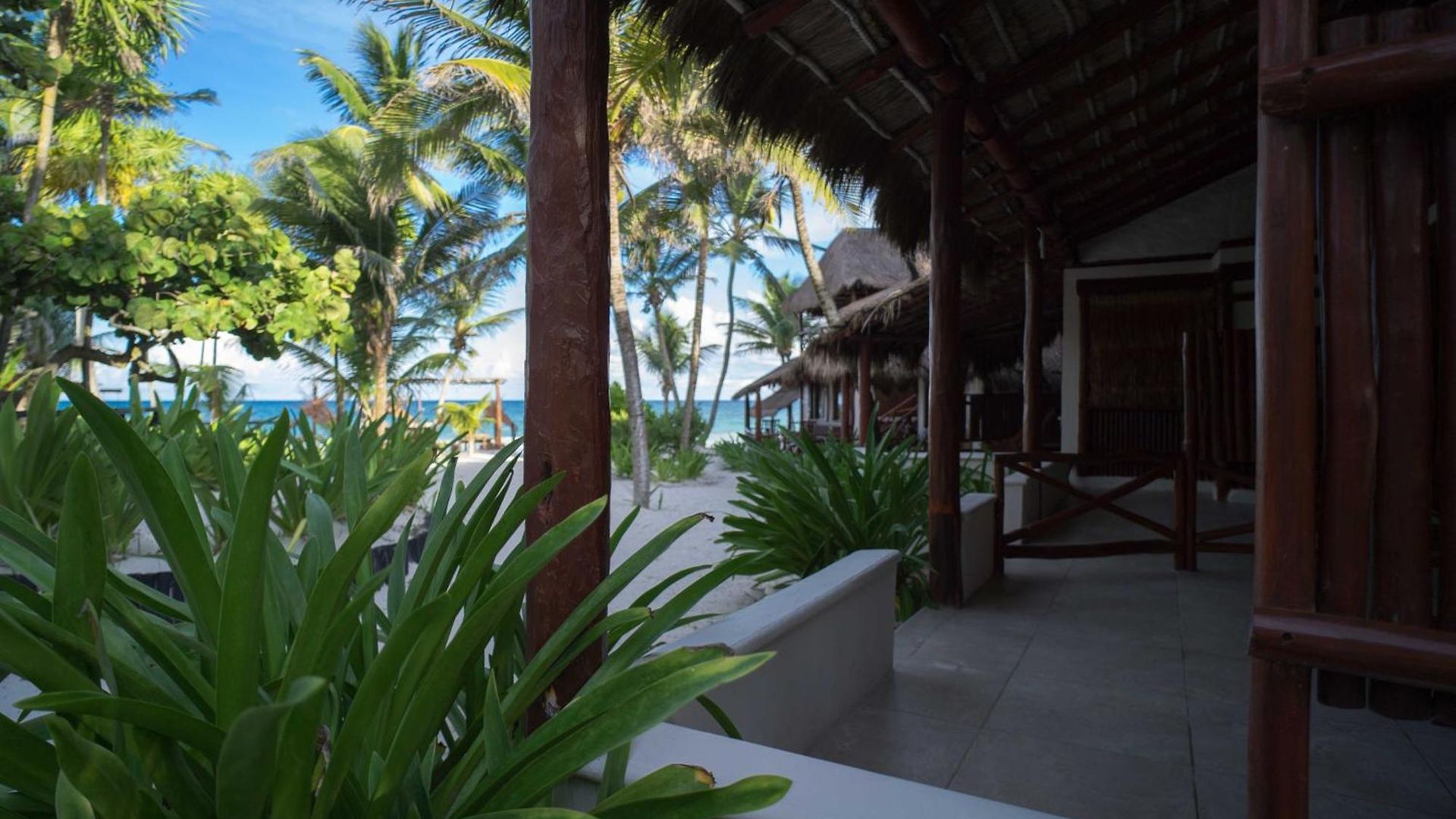 Hotel Bt Live Located At The Party Zone Tulum