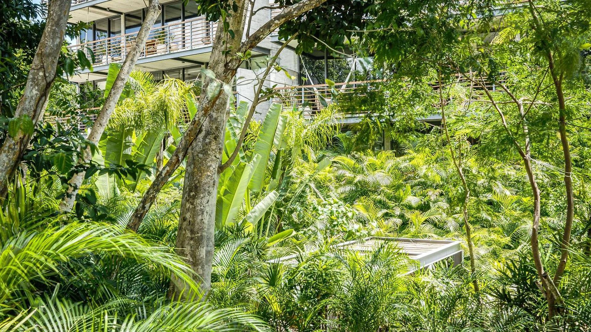 Divine 1br Ph W Private Pool, Cenote, Gym Tulum