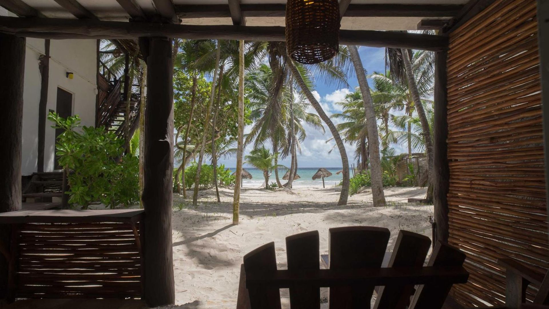 Bt Live Located At The Party Zone Tulum