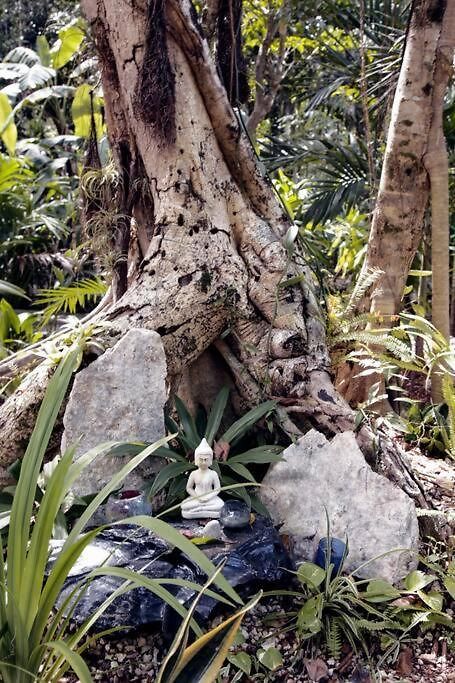 Zen Canto Tuuch :: May The Jungle Be With You Holiday home