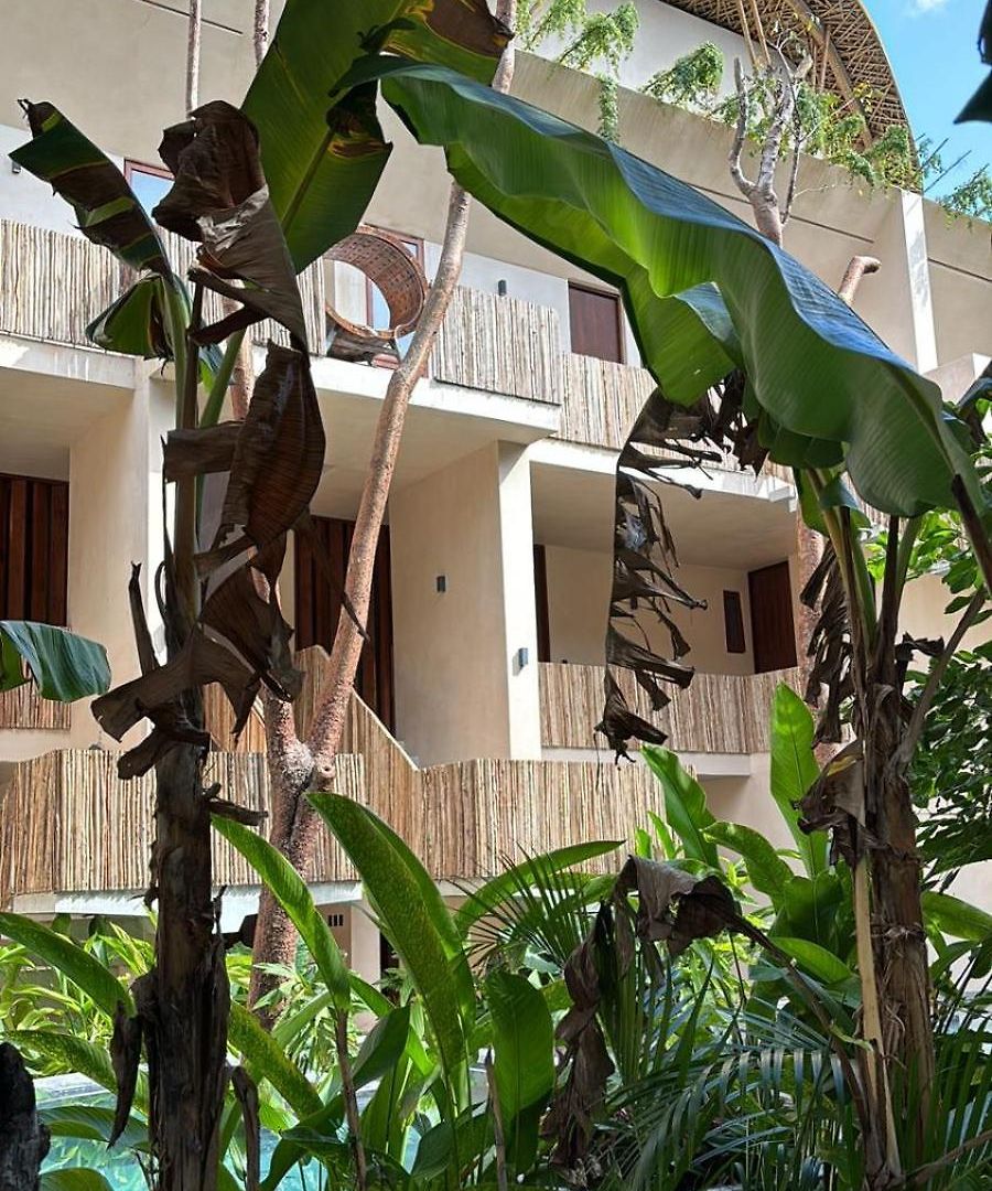 Apartahotel Condohotel Tsonot, En Luum Zama