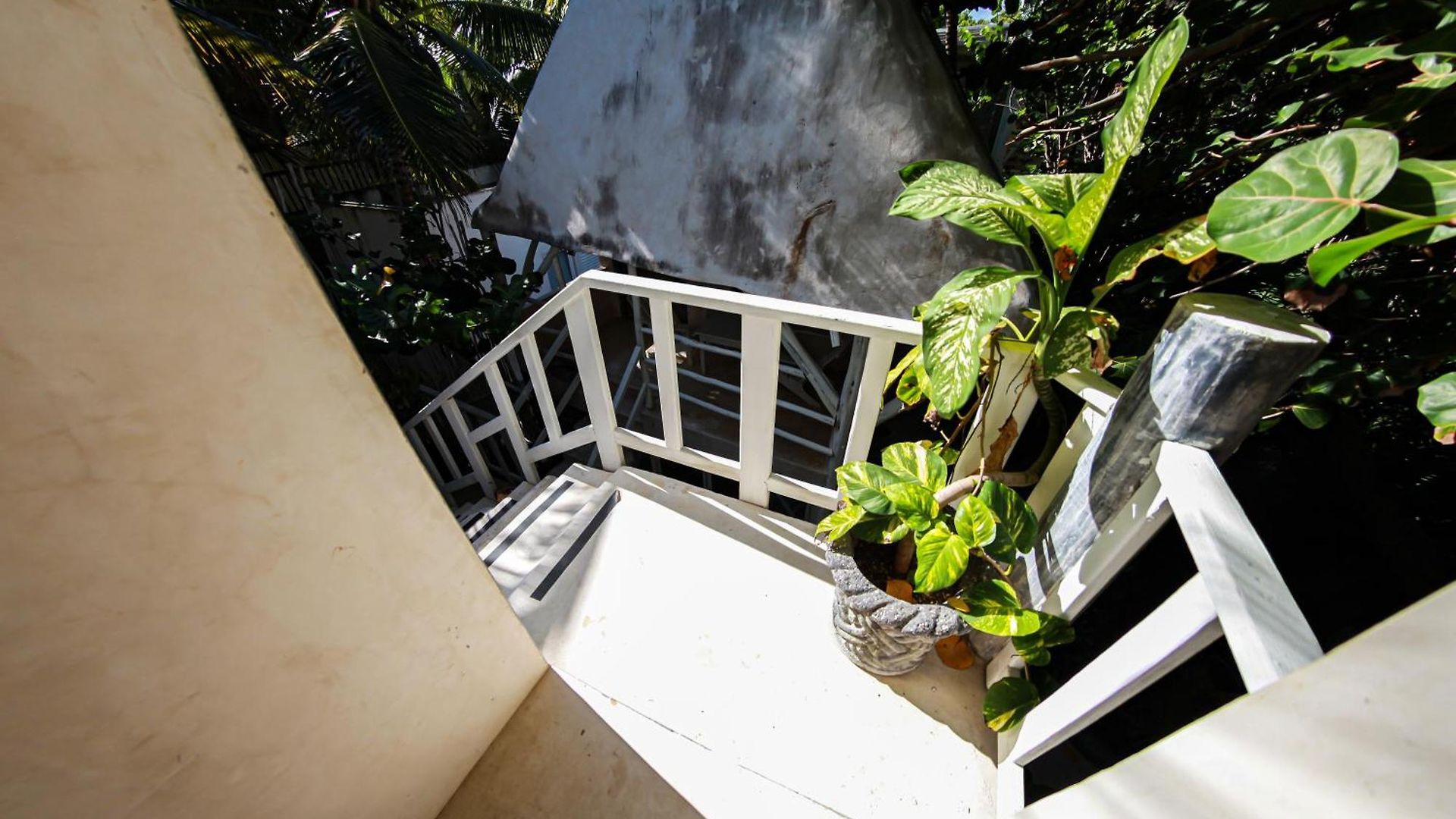 Lamar Front And Pool 3* Tulum