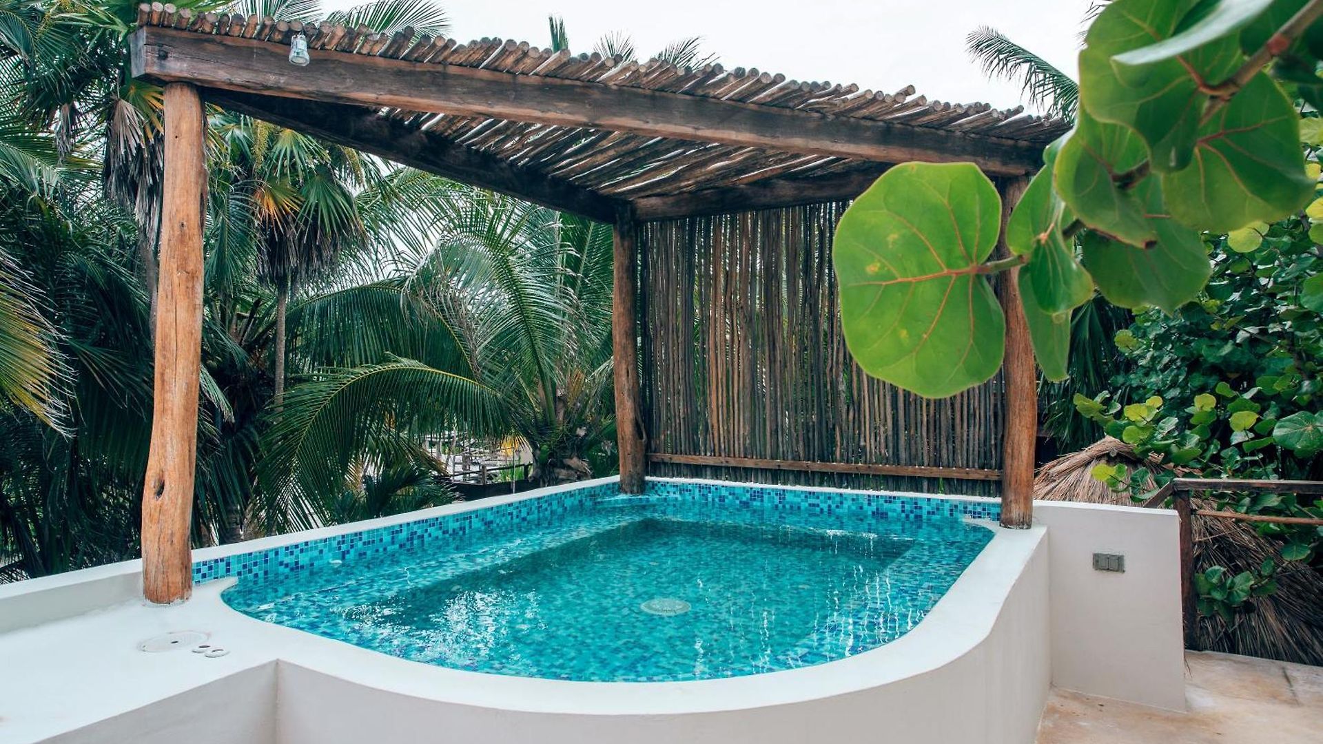 Orchid House (adults Only) Tulum