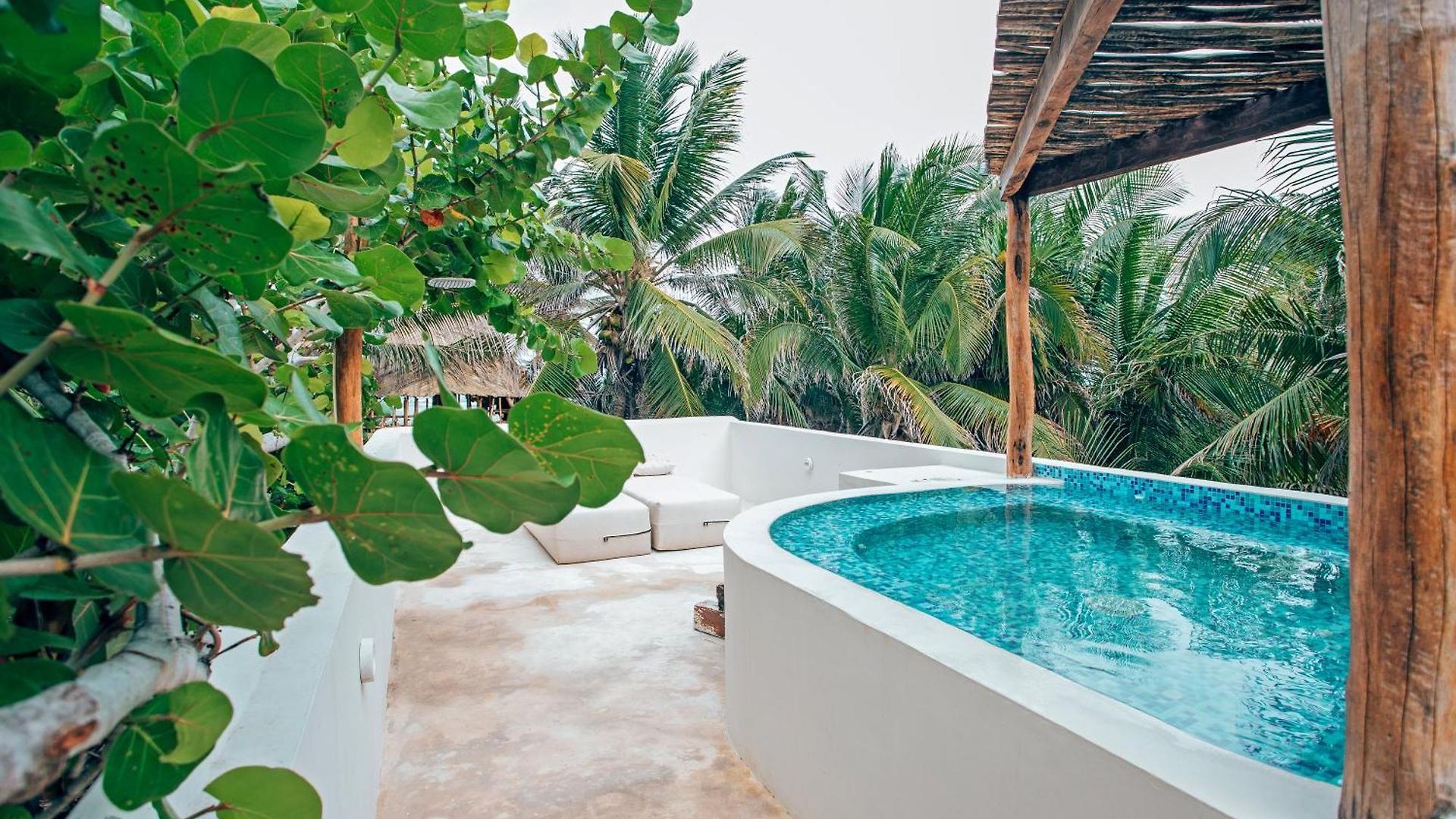 Orchid House (adults Only)