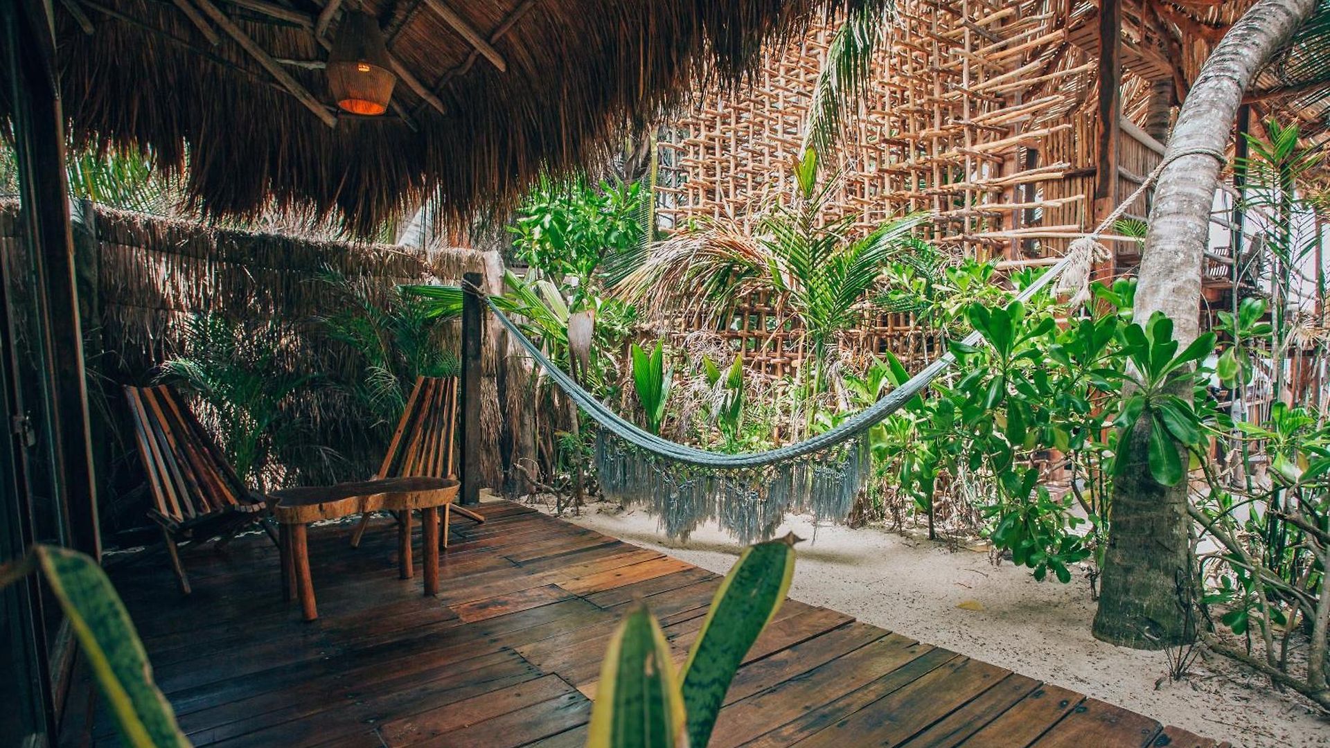 Hotel Orchid House (adults Only) 4*