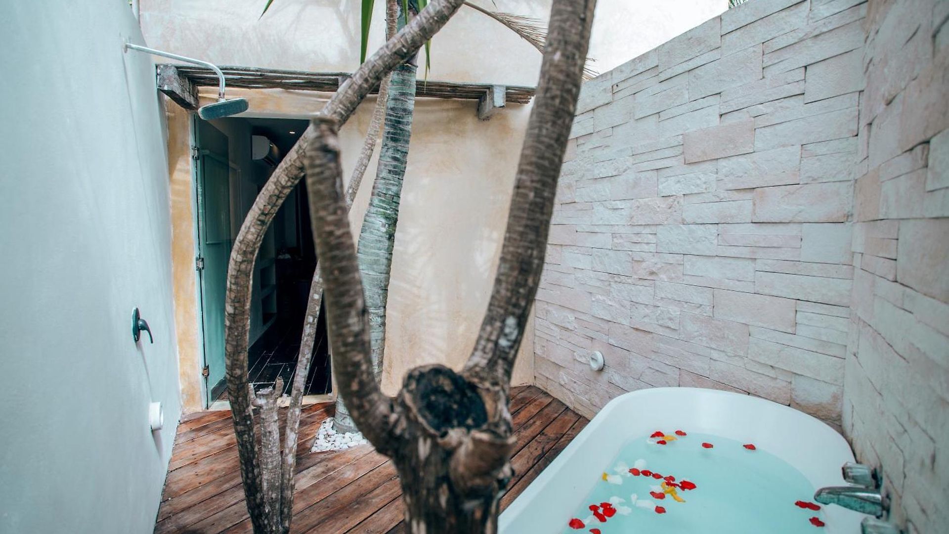 Orchid House (adults Only) 4*