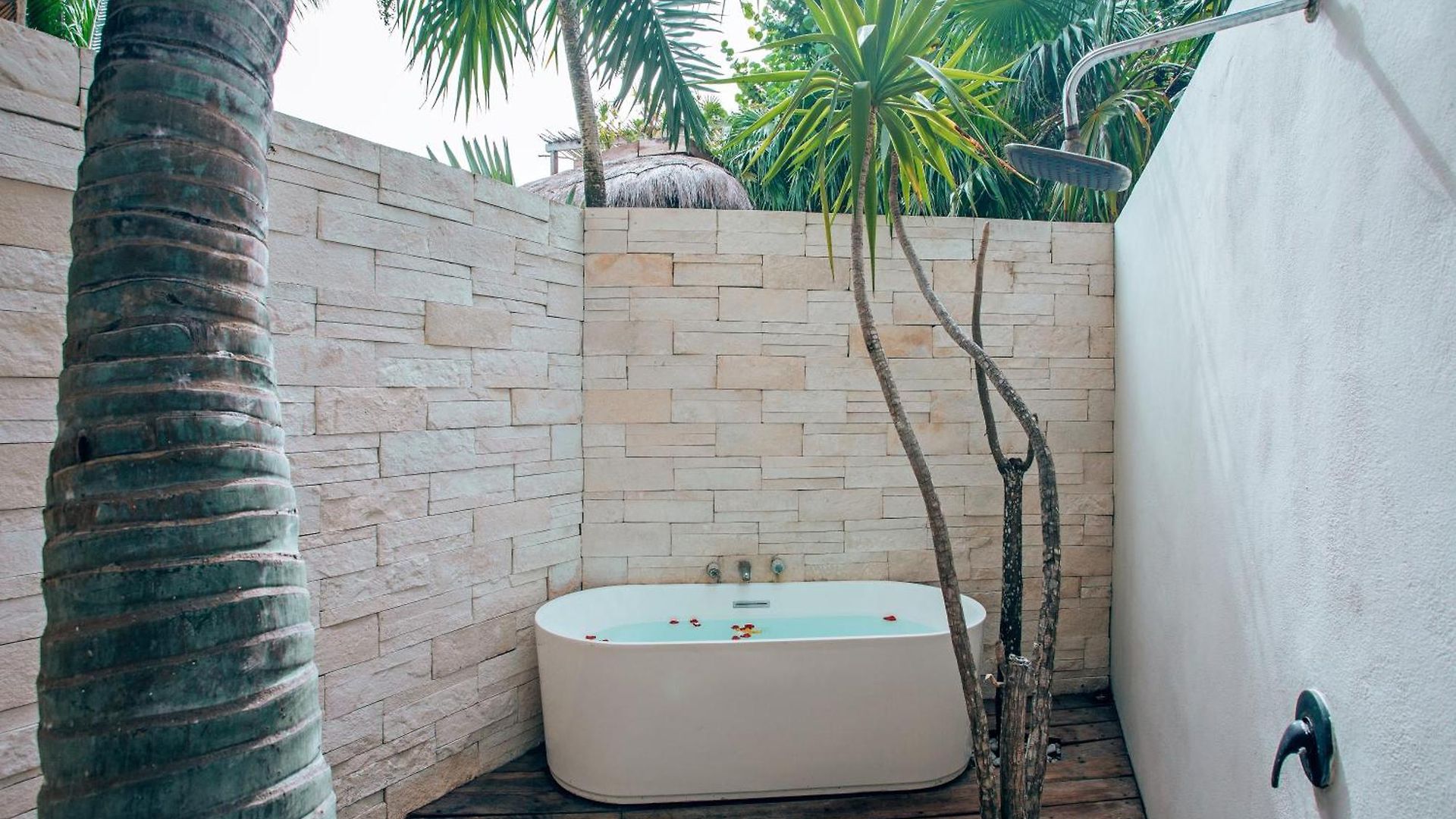 Hotel Orchid House (adults Only) 4*