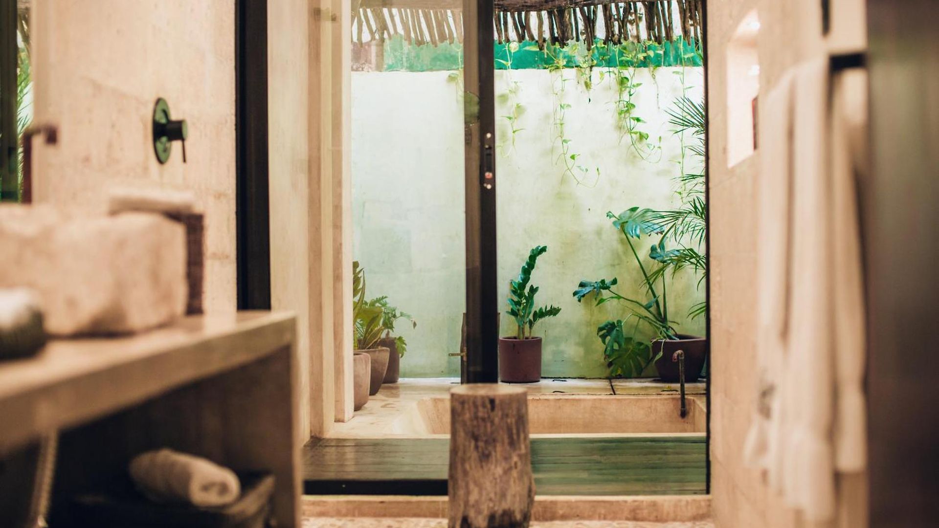 Hotel Orchid House Jungle 5*