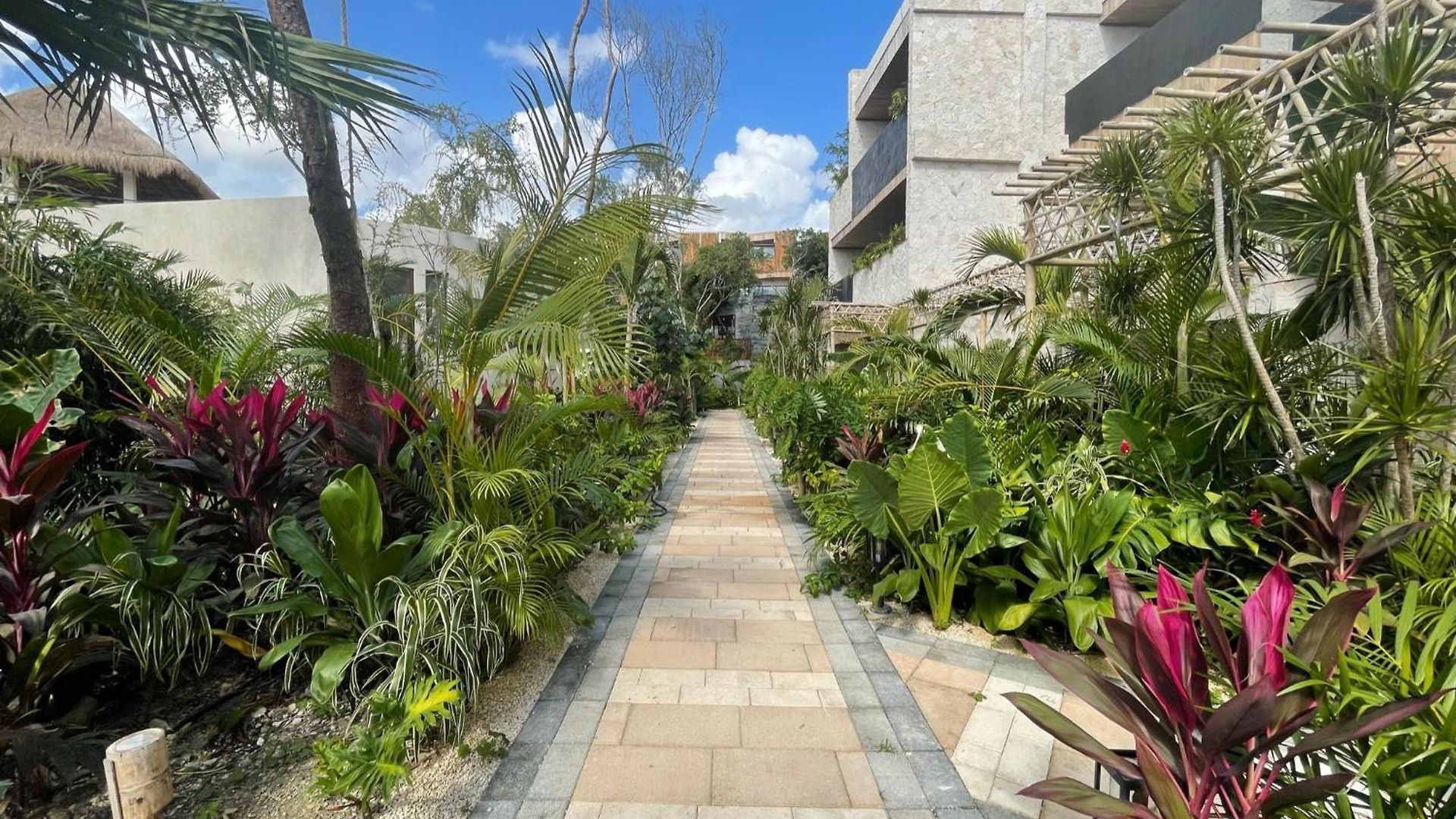 Adorable Departamento 5 Min Zona Hotelera Tulum
