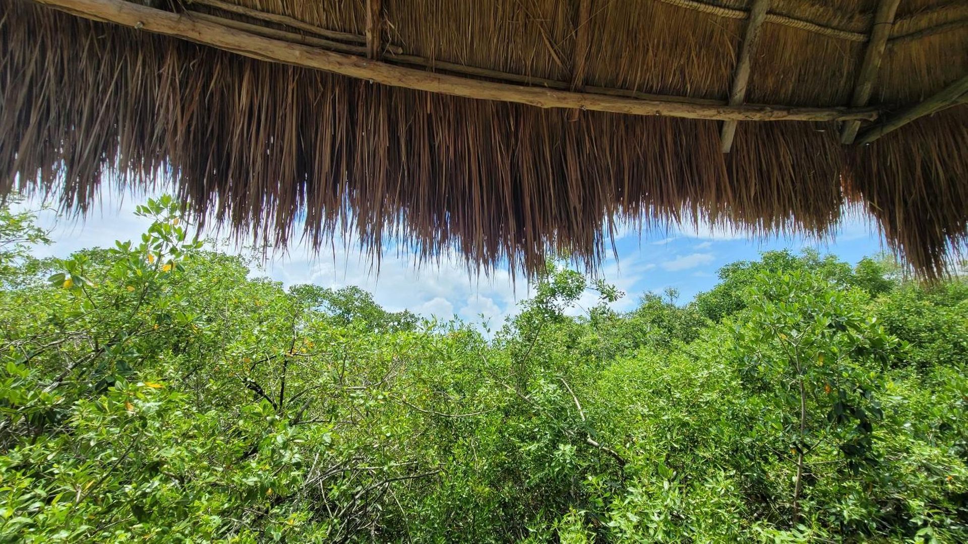 Cormoran & Cenote 3* Tulum
