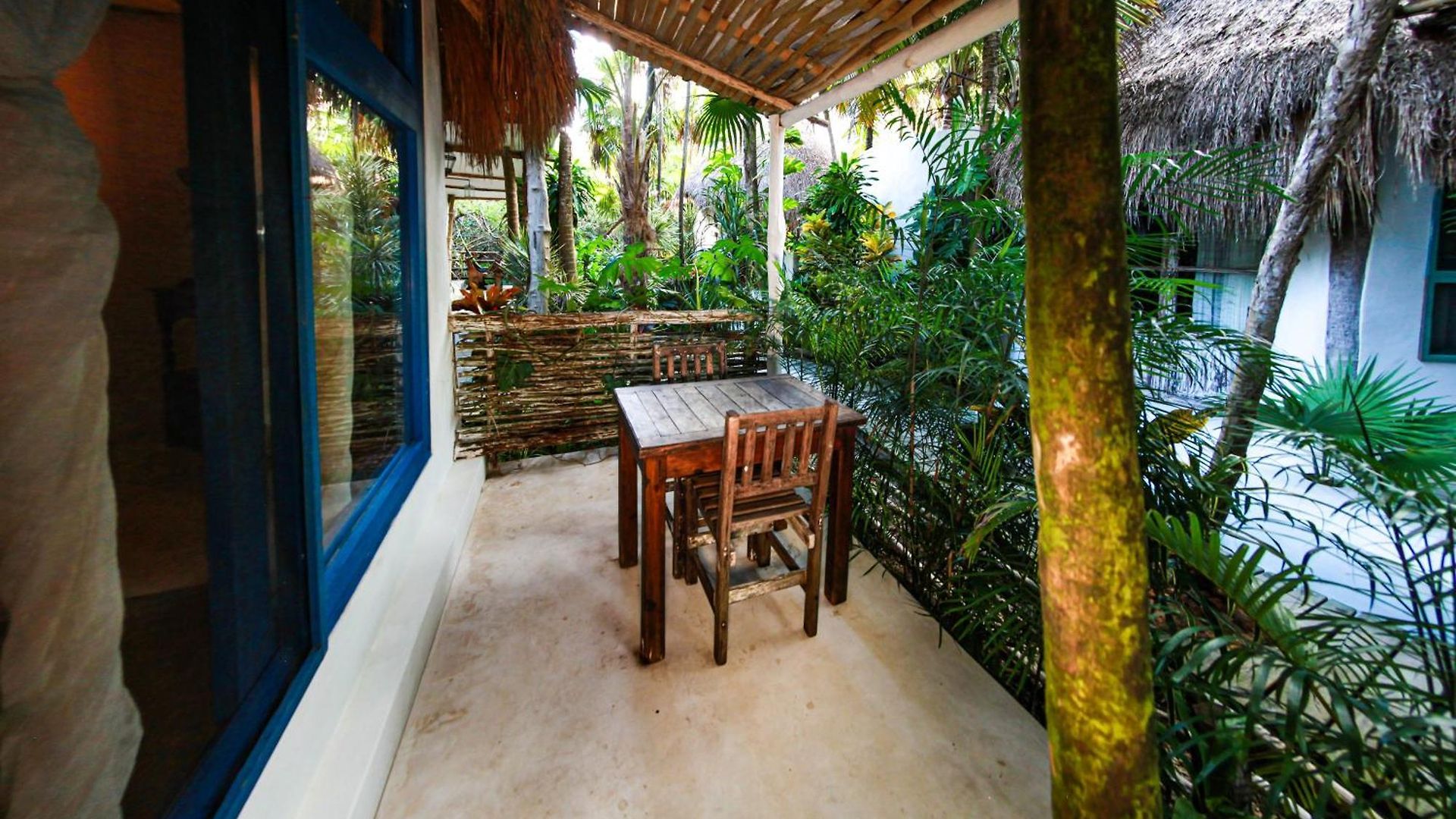 Cormoran & Cenote 3*