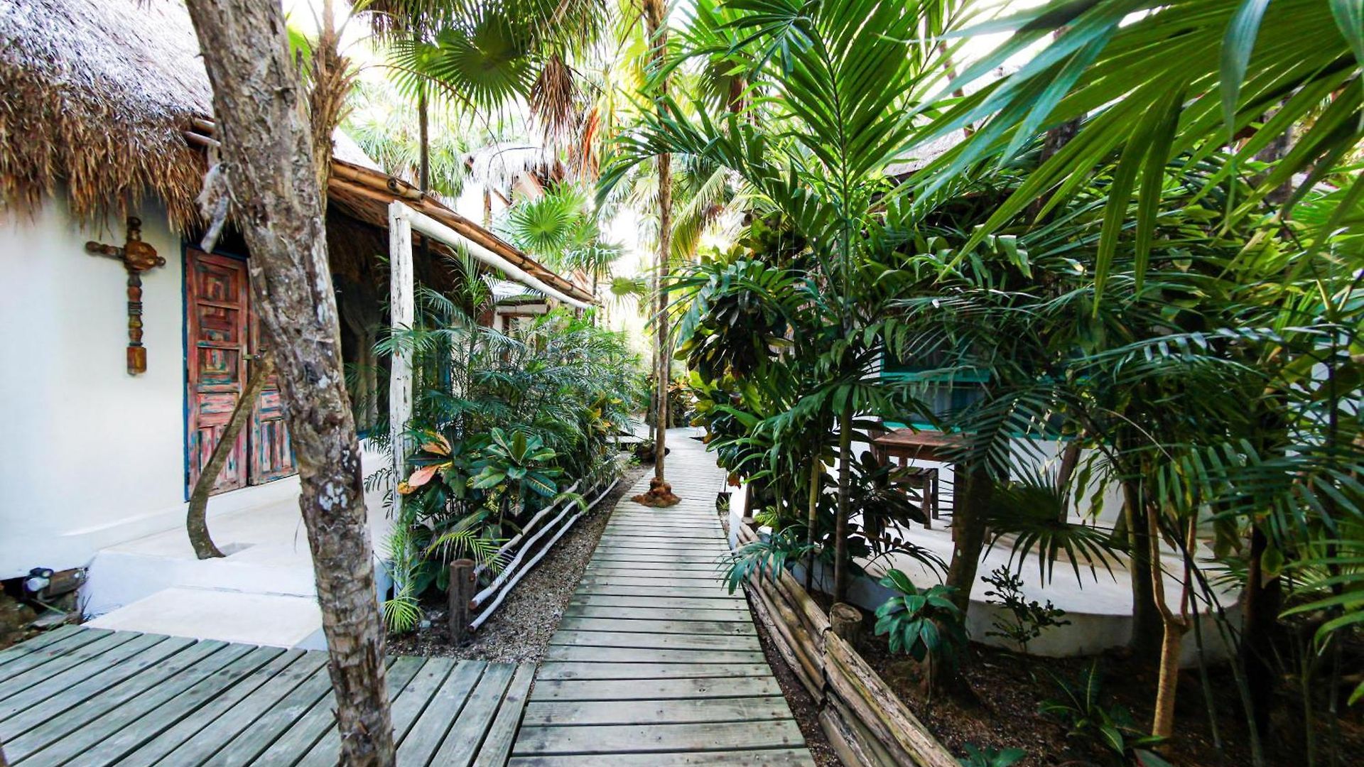 Hotel Cormoran & Cenote