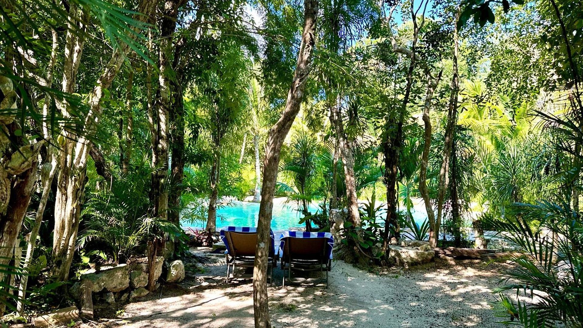 Glamping Bunga Lotus Camping