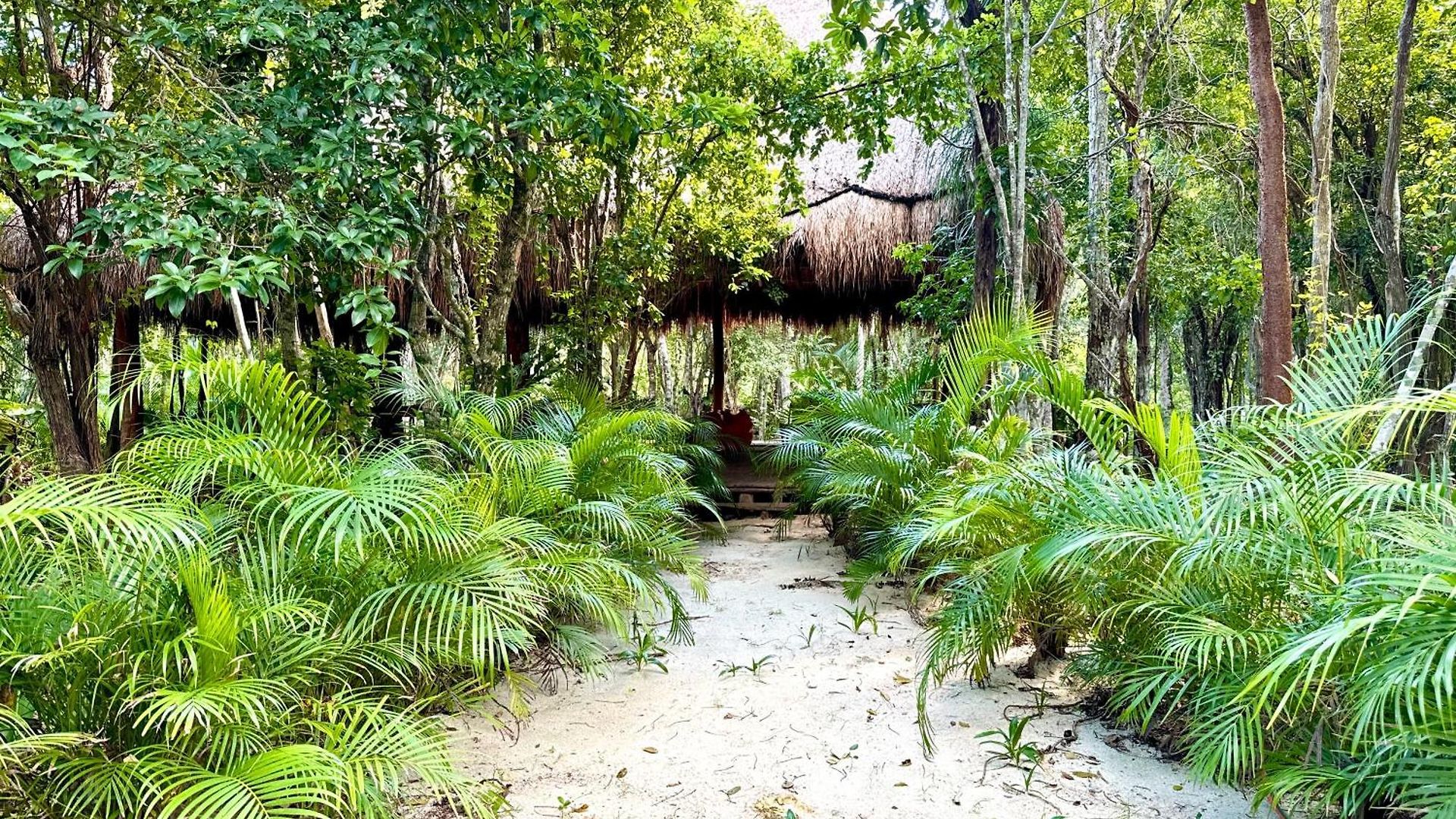 Glamping Bunga Lotus Tulum