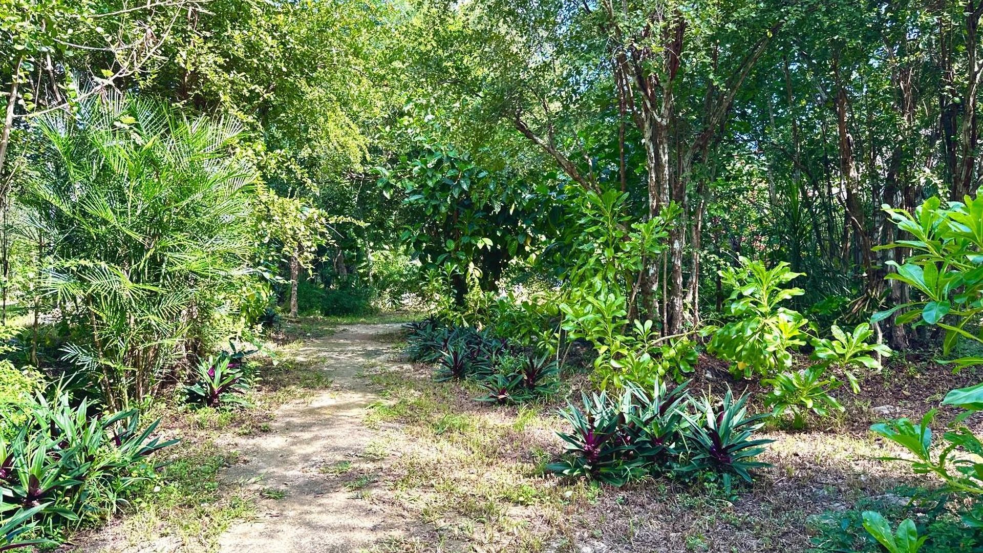 Glamping Bunga Lotus Camping Tulum
