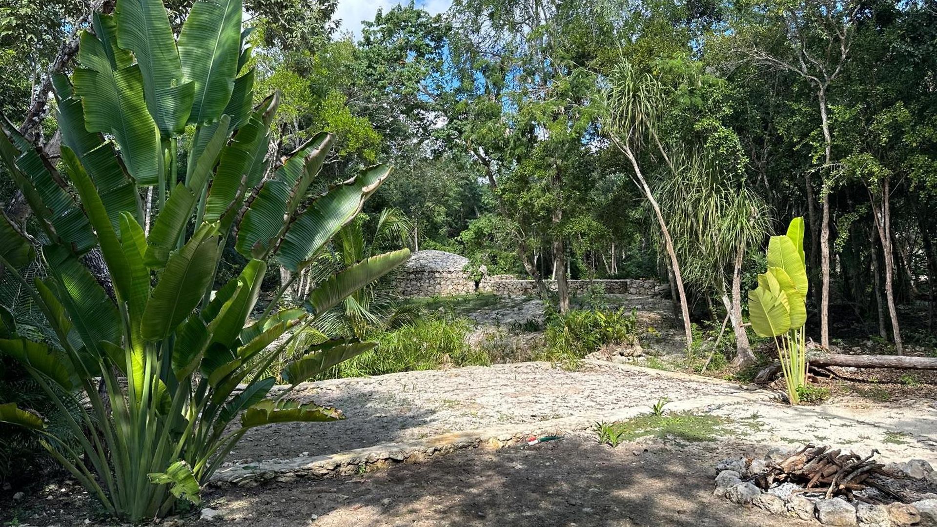 Glamping Bunga Lotus Camping