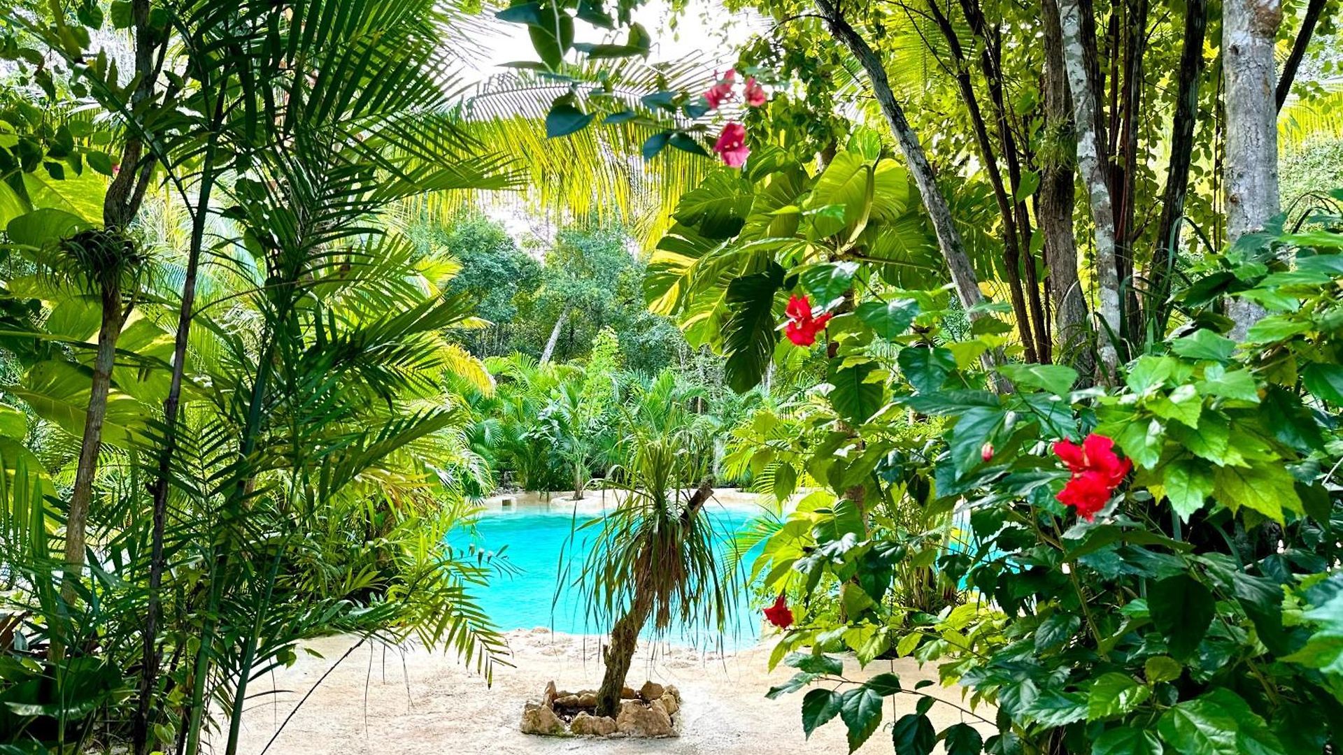 Camping Glamping Bunga Lotus Tulum