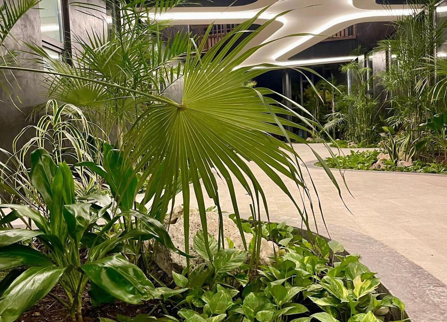 Ova Apartamento Tulum