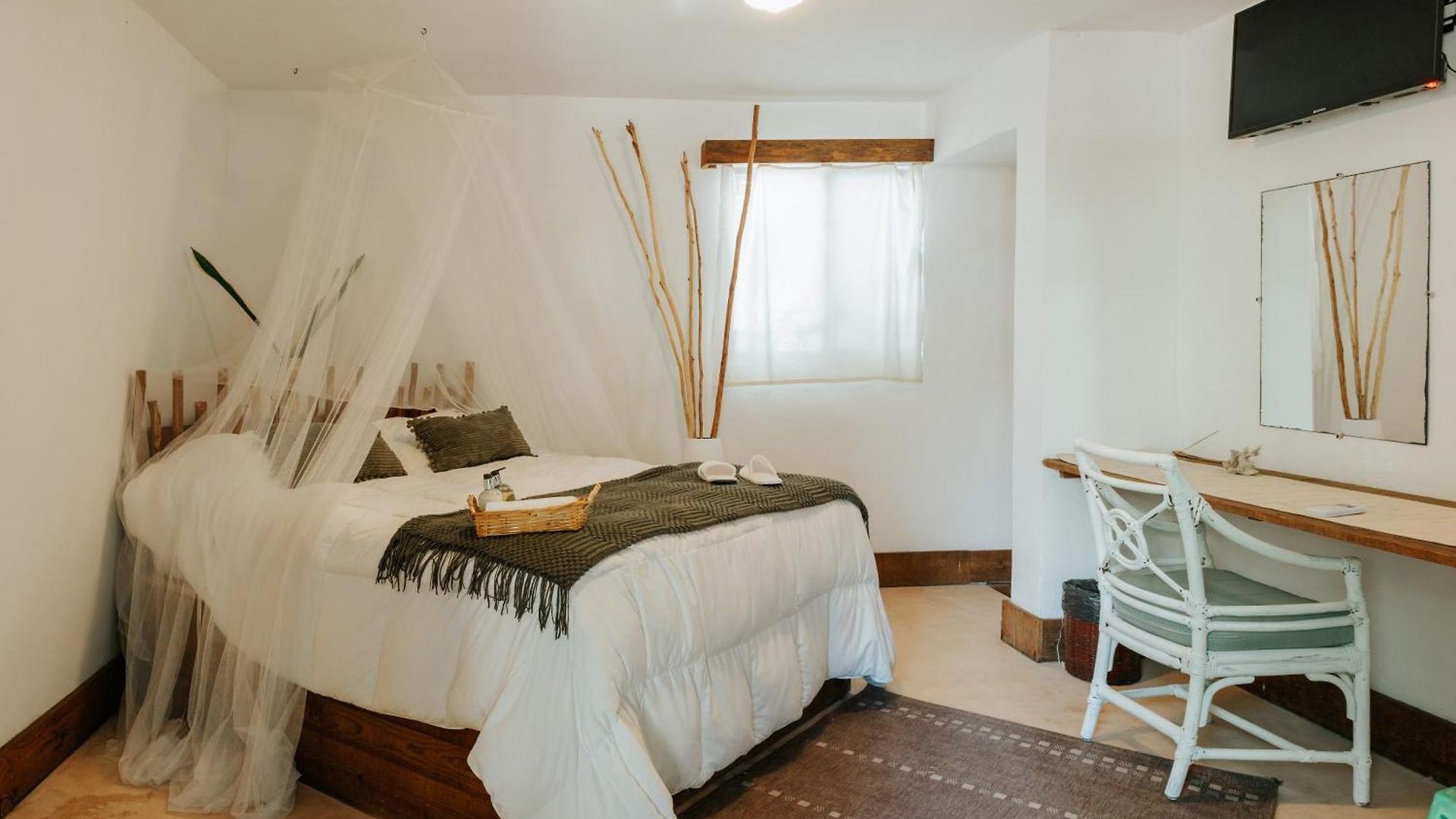Hotel Icastico *