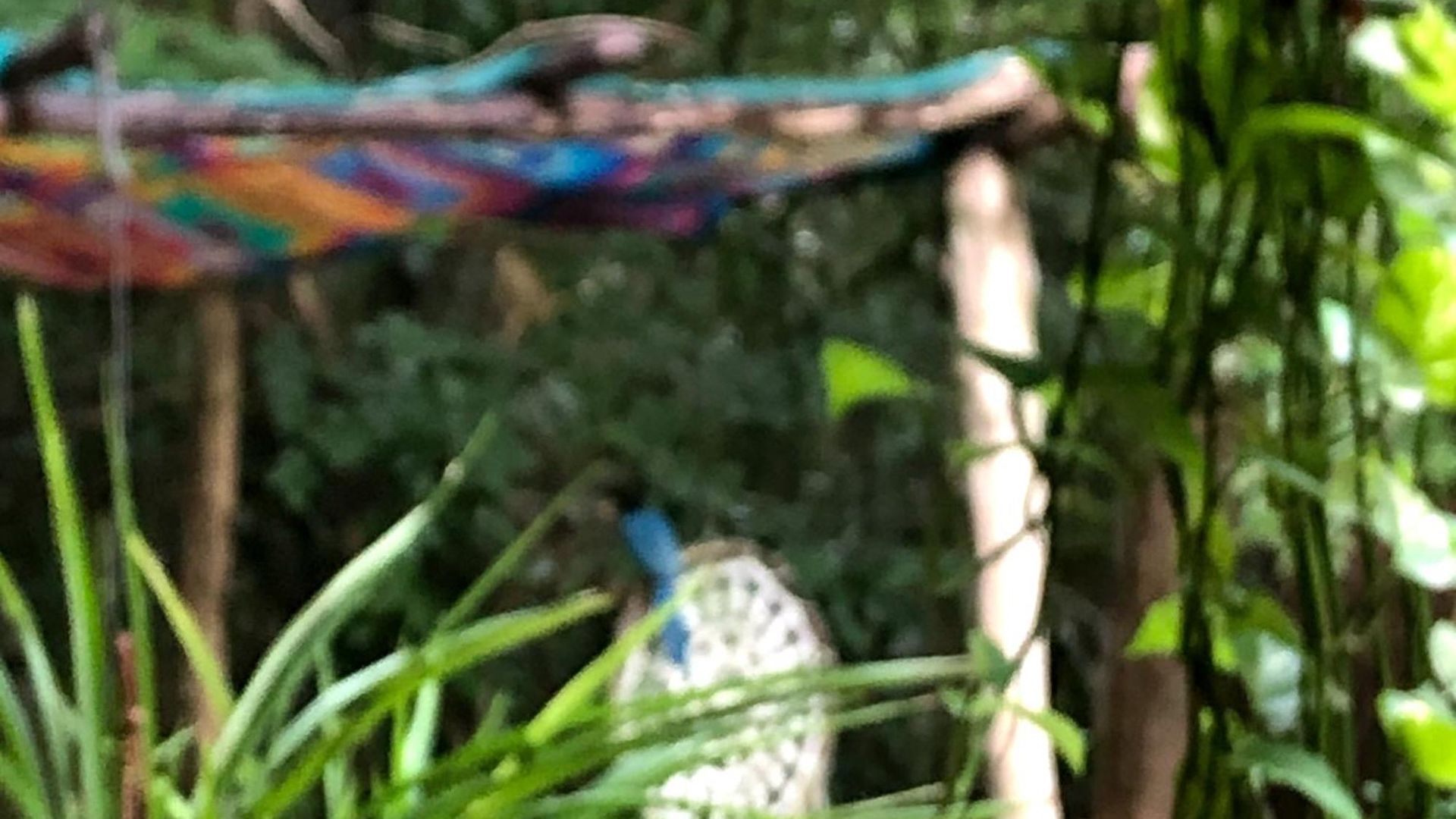 Casa Tzalam Selva 4* Tulum