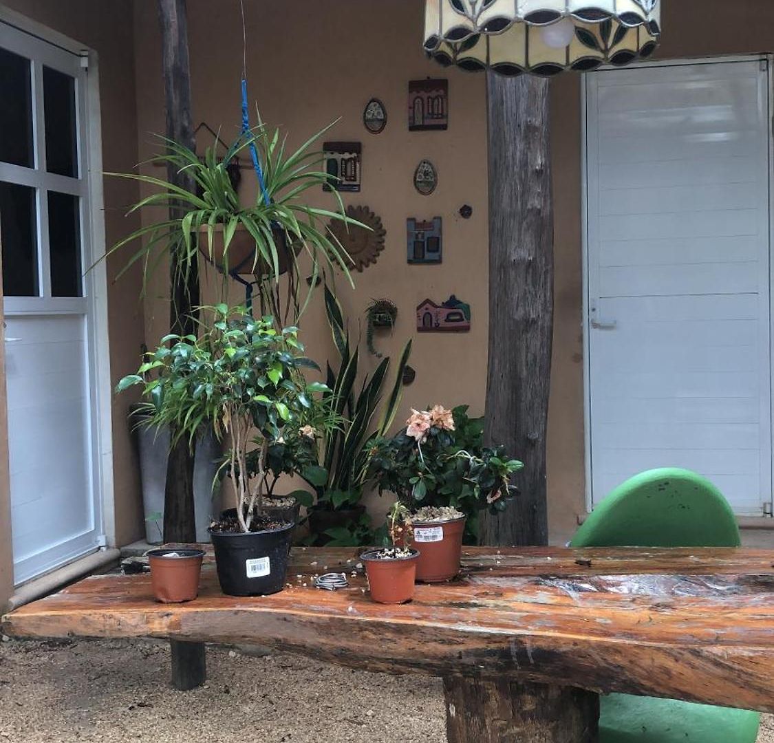 Casa Tzalam Selva 4*
