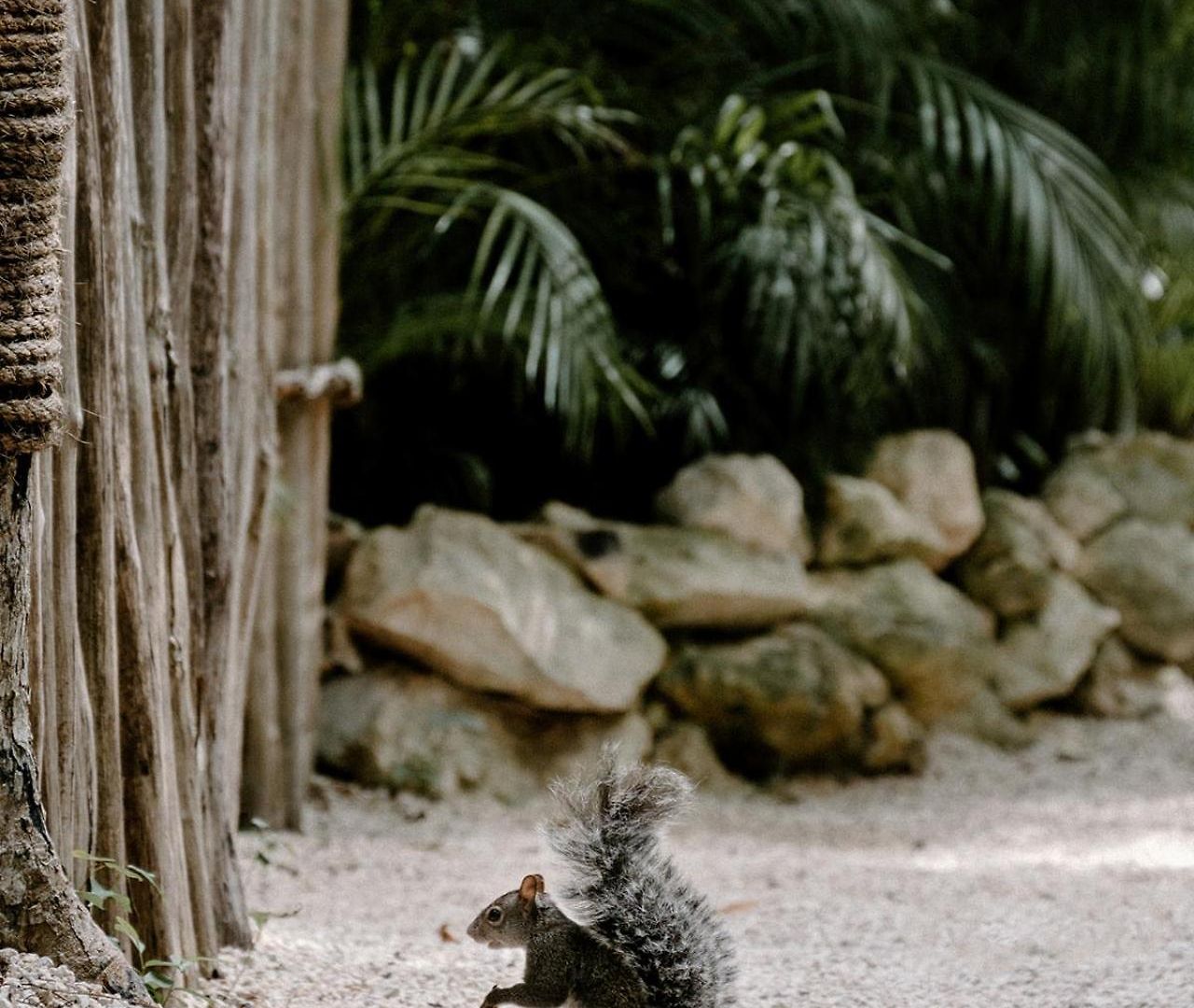 Bardo - Adults Only 5* Tulum