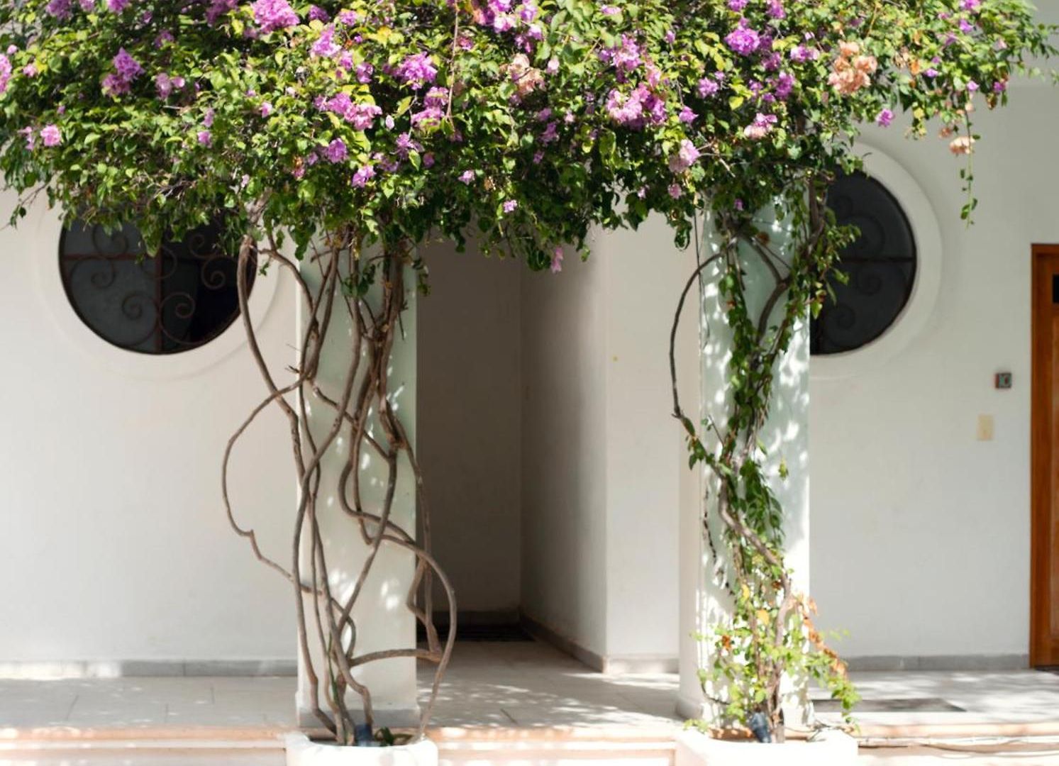 Apartamento Sonido Del Mar Boutique&yoga Loft *